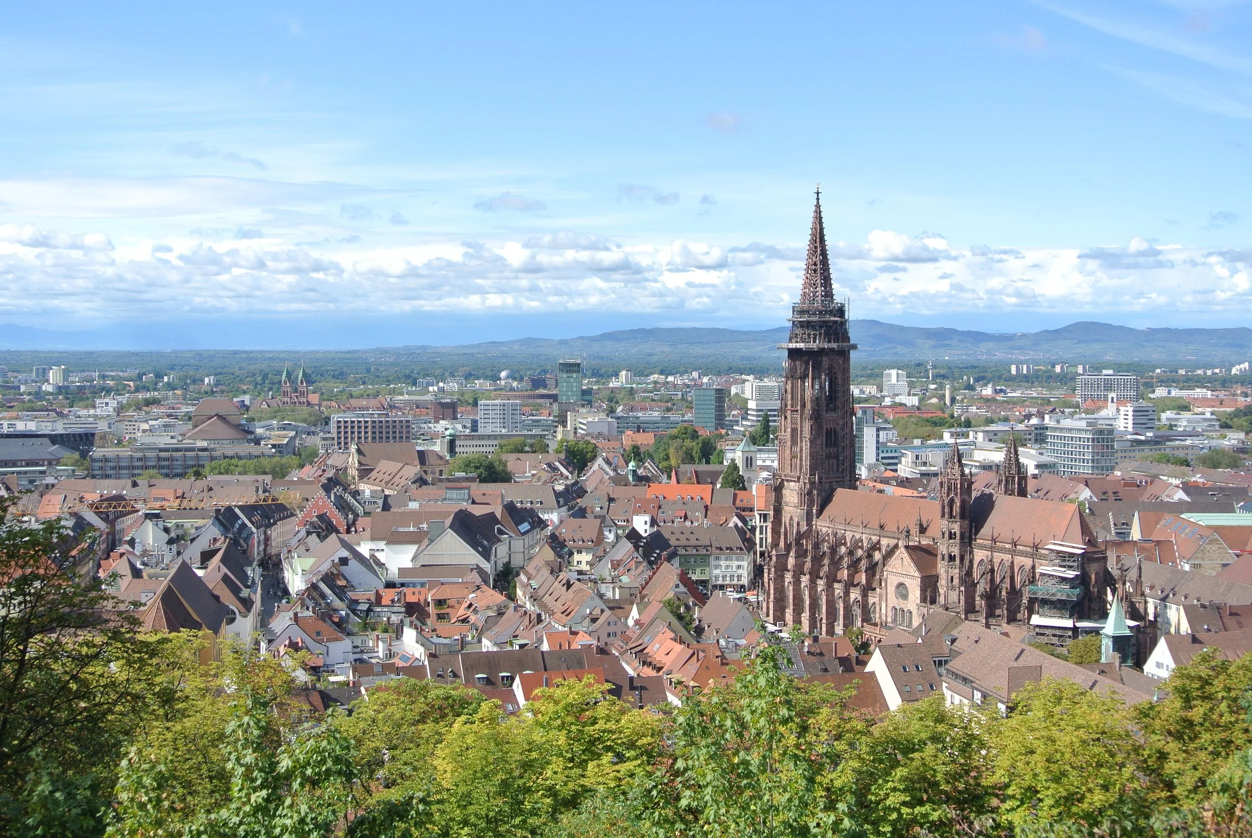 Freiburg Münster.jpg