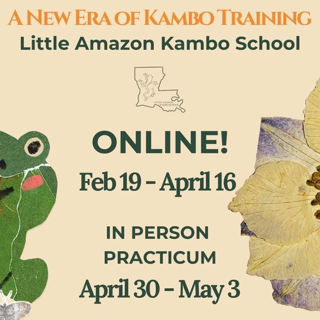 Little Amazon Kambo School