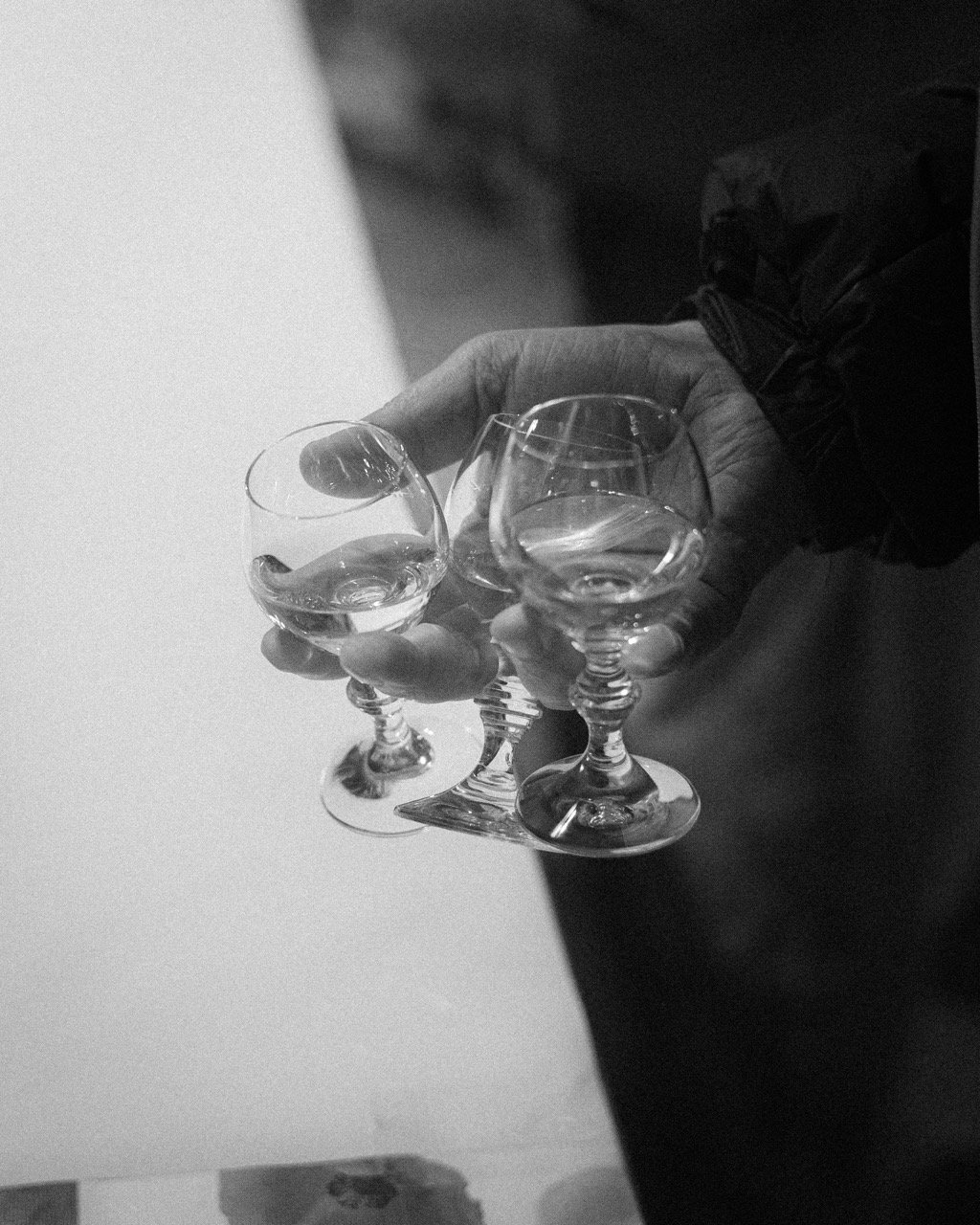 Groß (Probsthof-39).jpeg