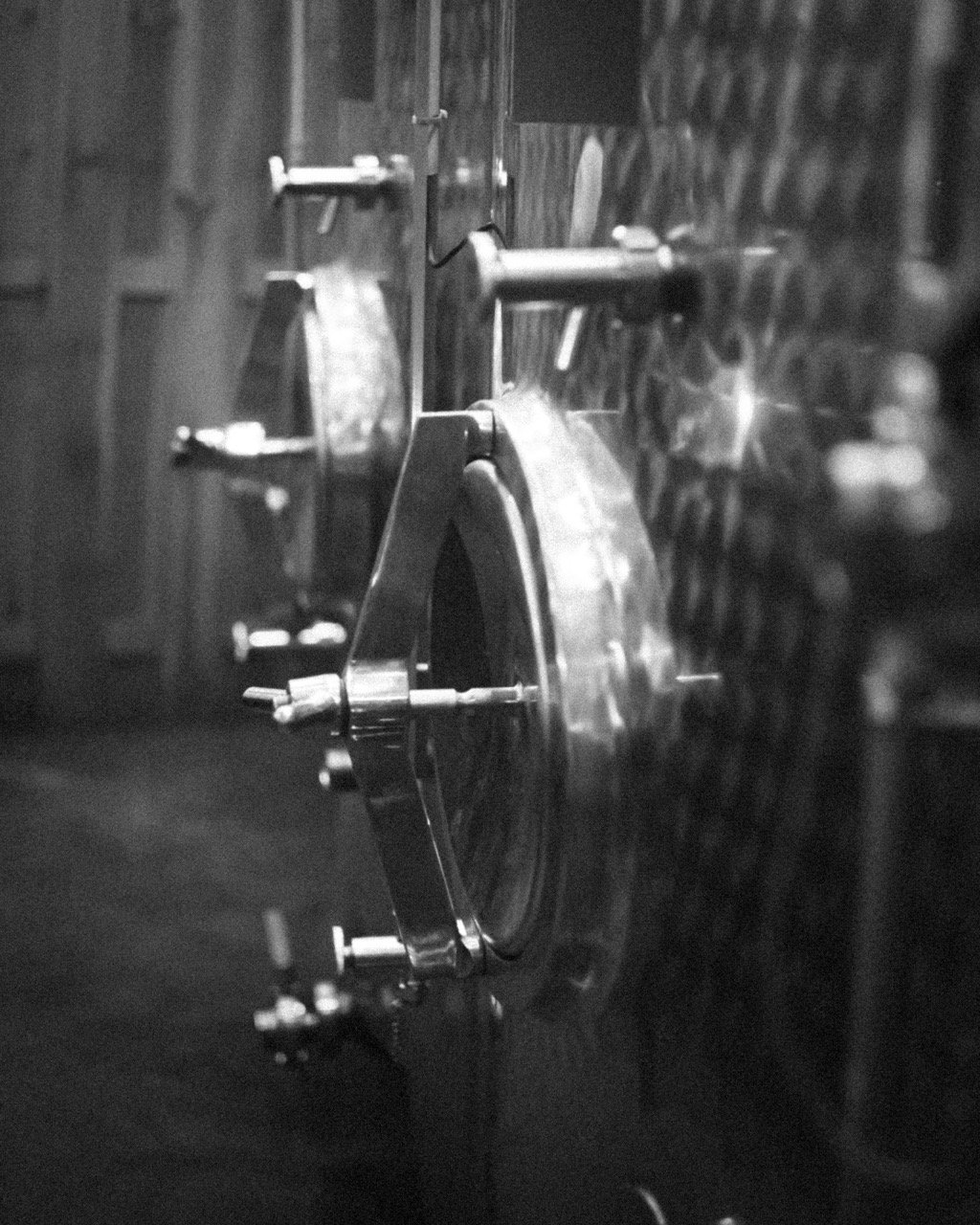 Groß (Probsthof-43).jpeg