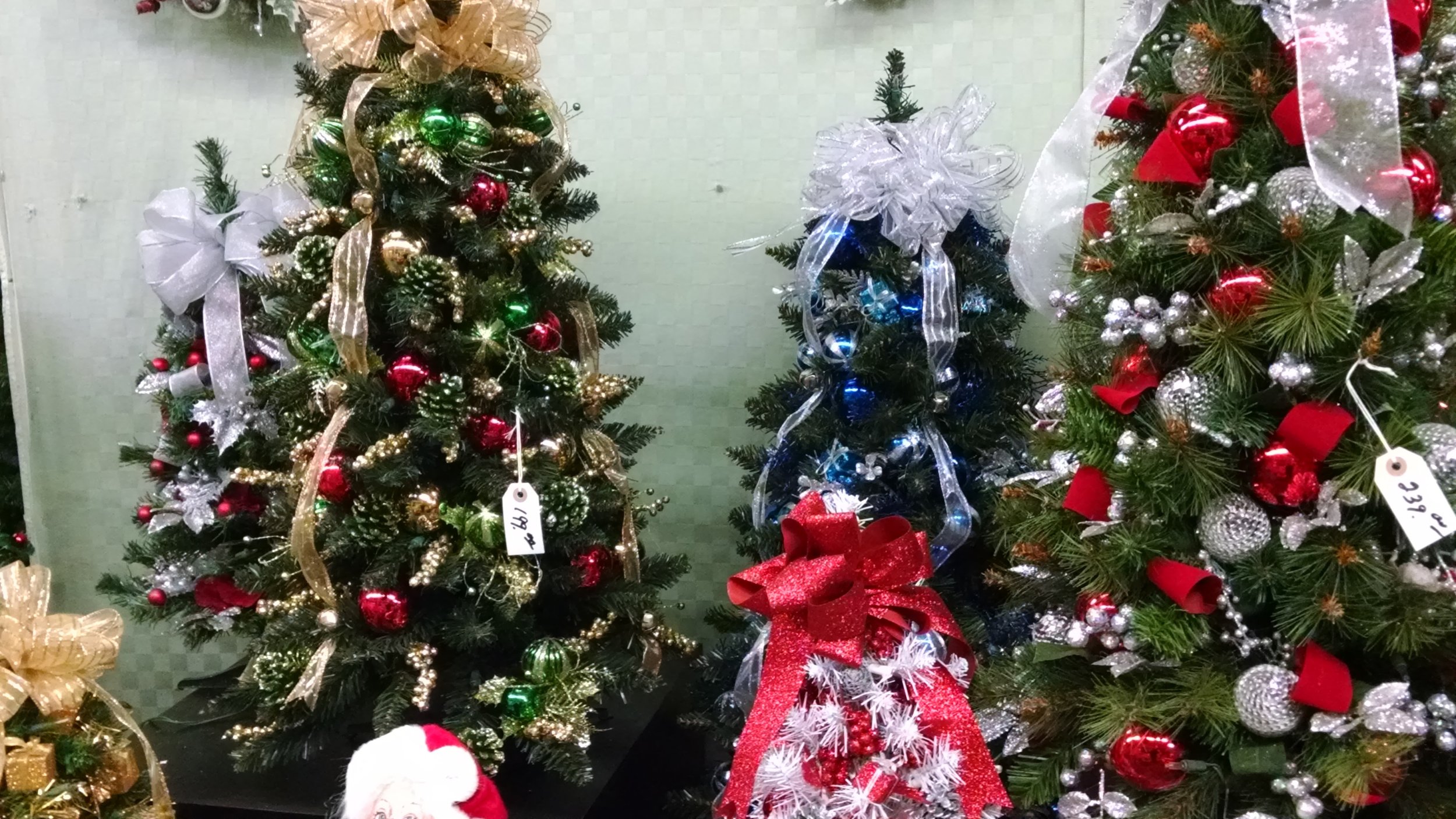 IMG_20151104_174139649.jpg