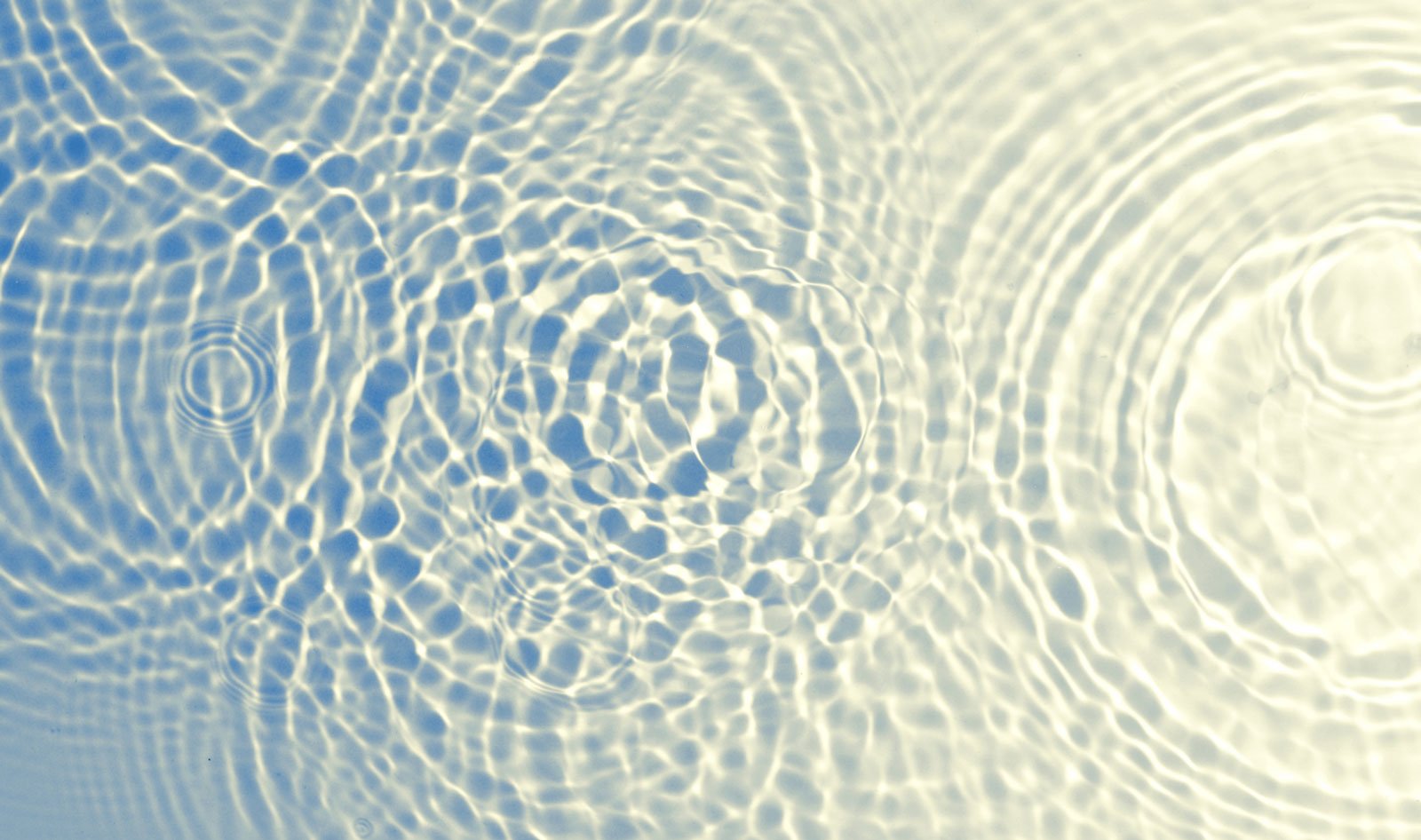 What is bioenergetic support?
