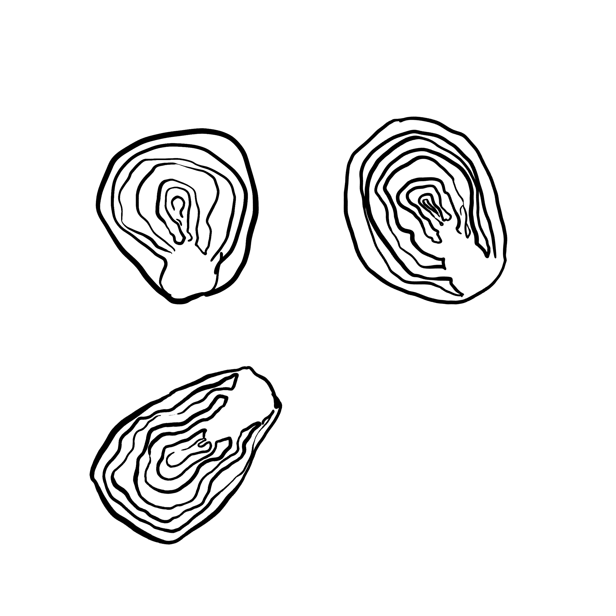 Handdrawn-vegetables-illustrationsBrussel-Sprouts.png
