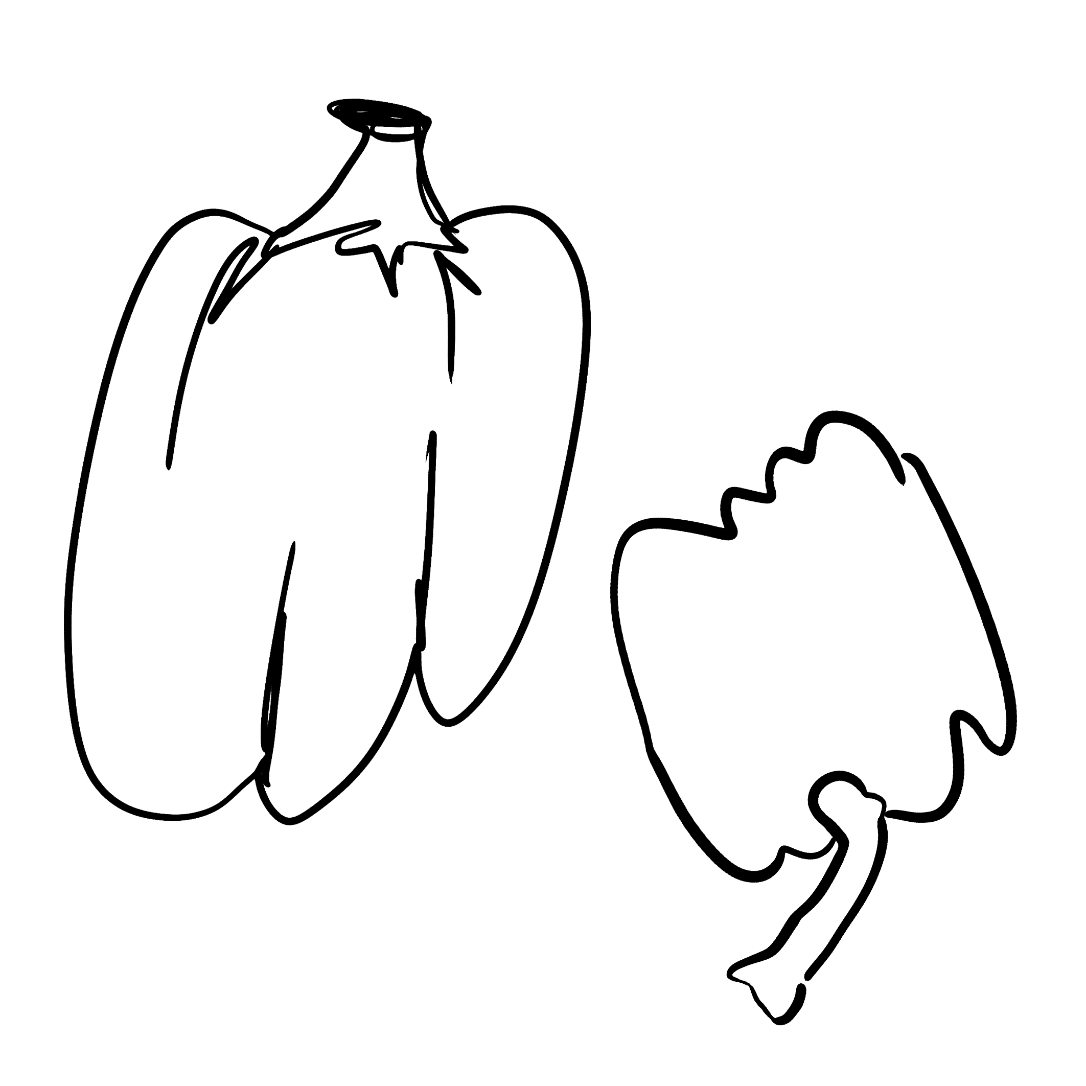 Handdrawn-vegetables-illustrationsLettuce_2.png