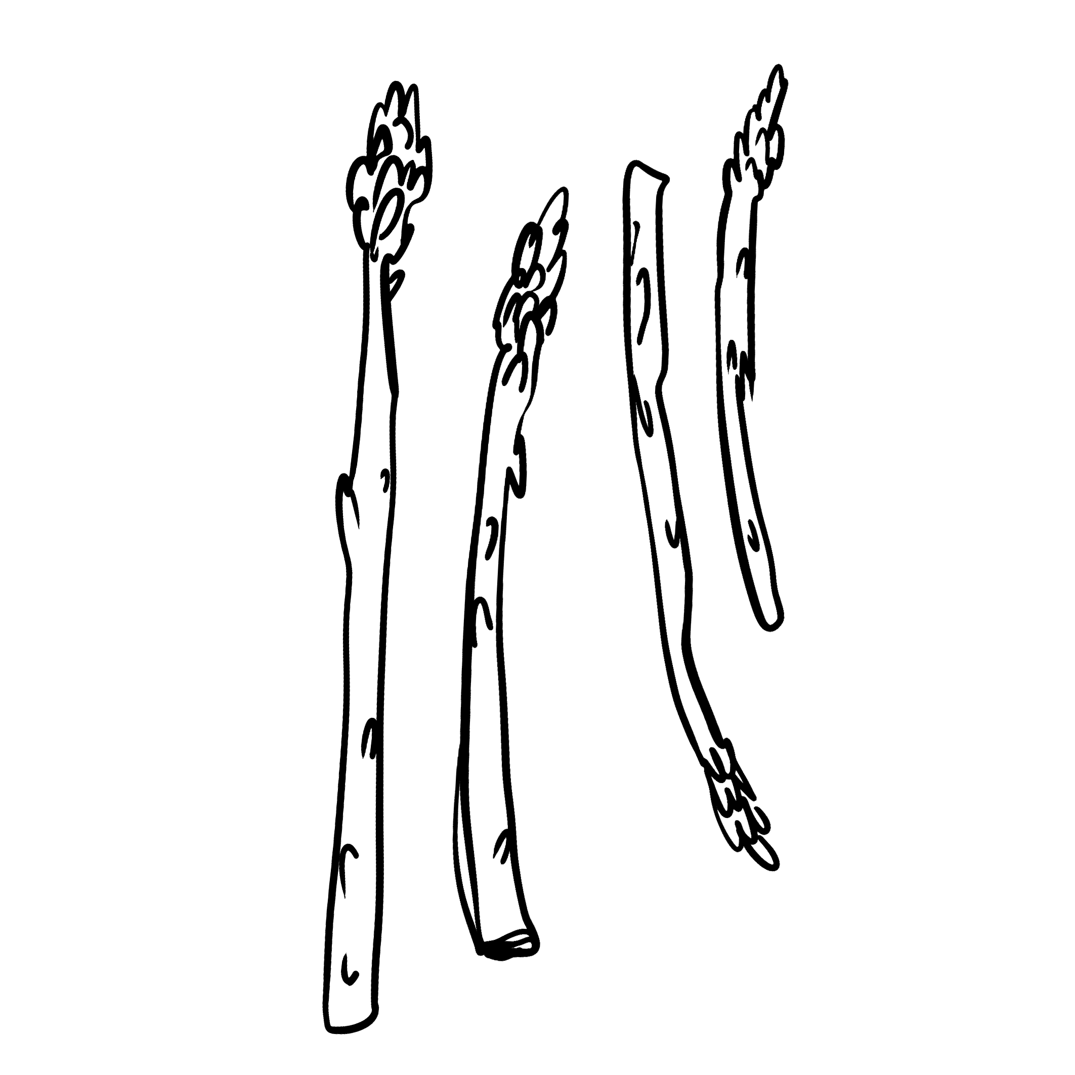 Handdrawn-vegetables-illustrationsAsparagus.png