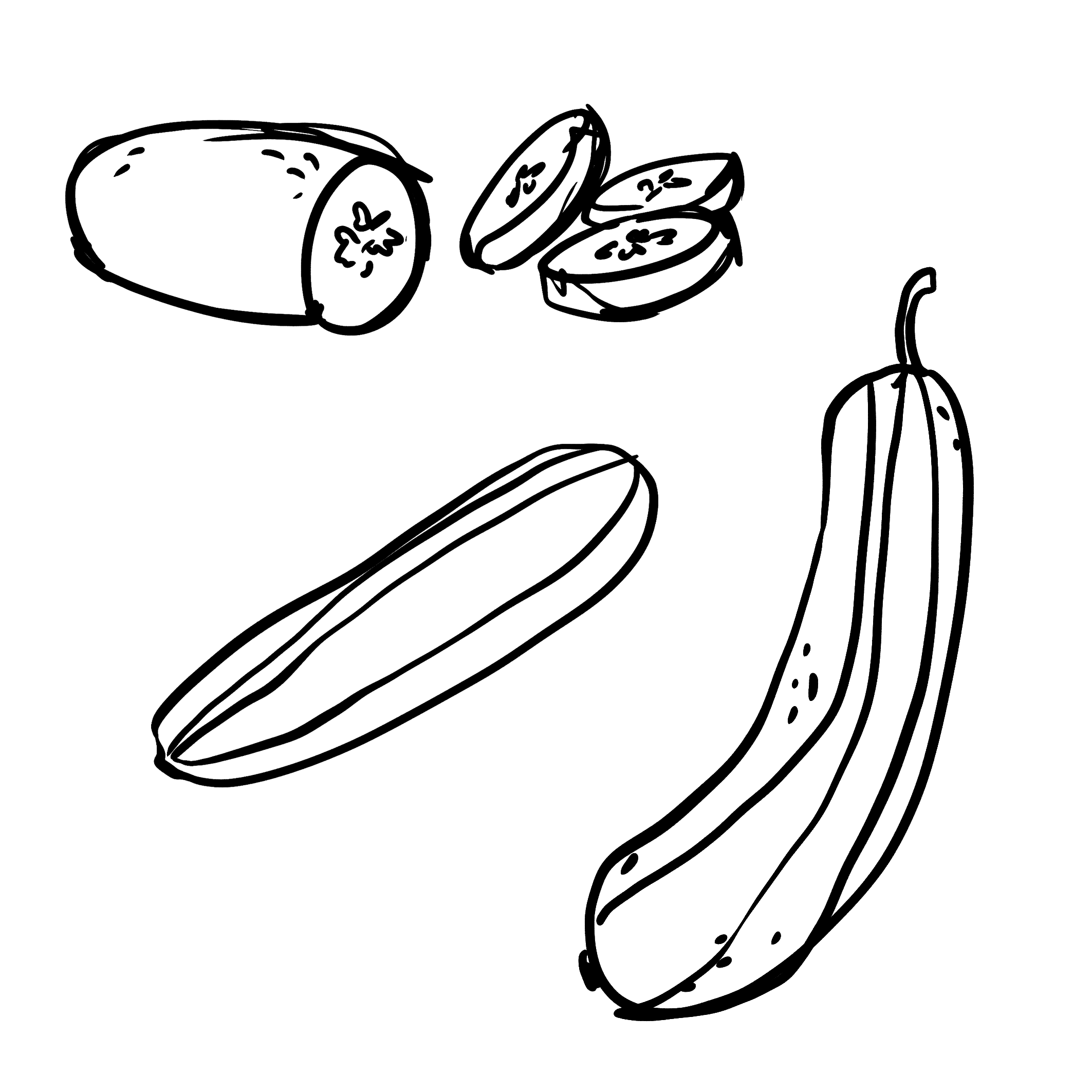 Handdrawn-vegetables-illustrationsCucumber.png