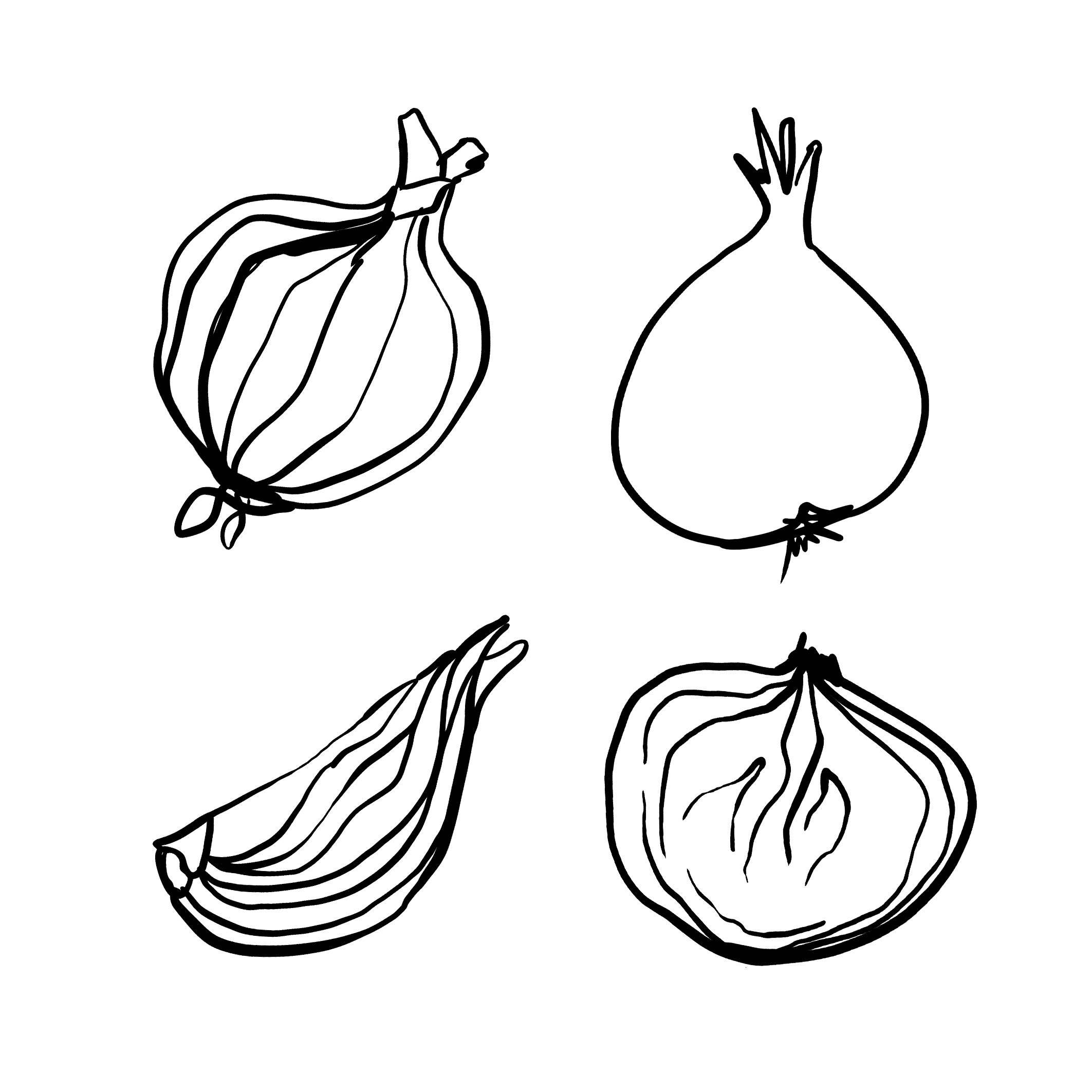 Handdrawn-vegetables-illustrationsOnion.png