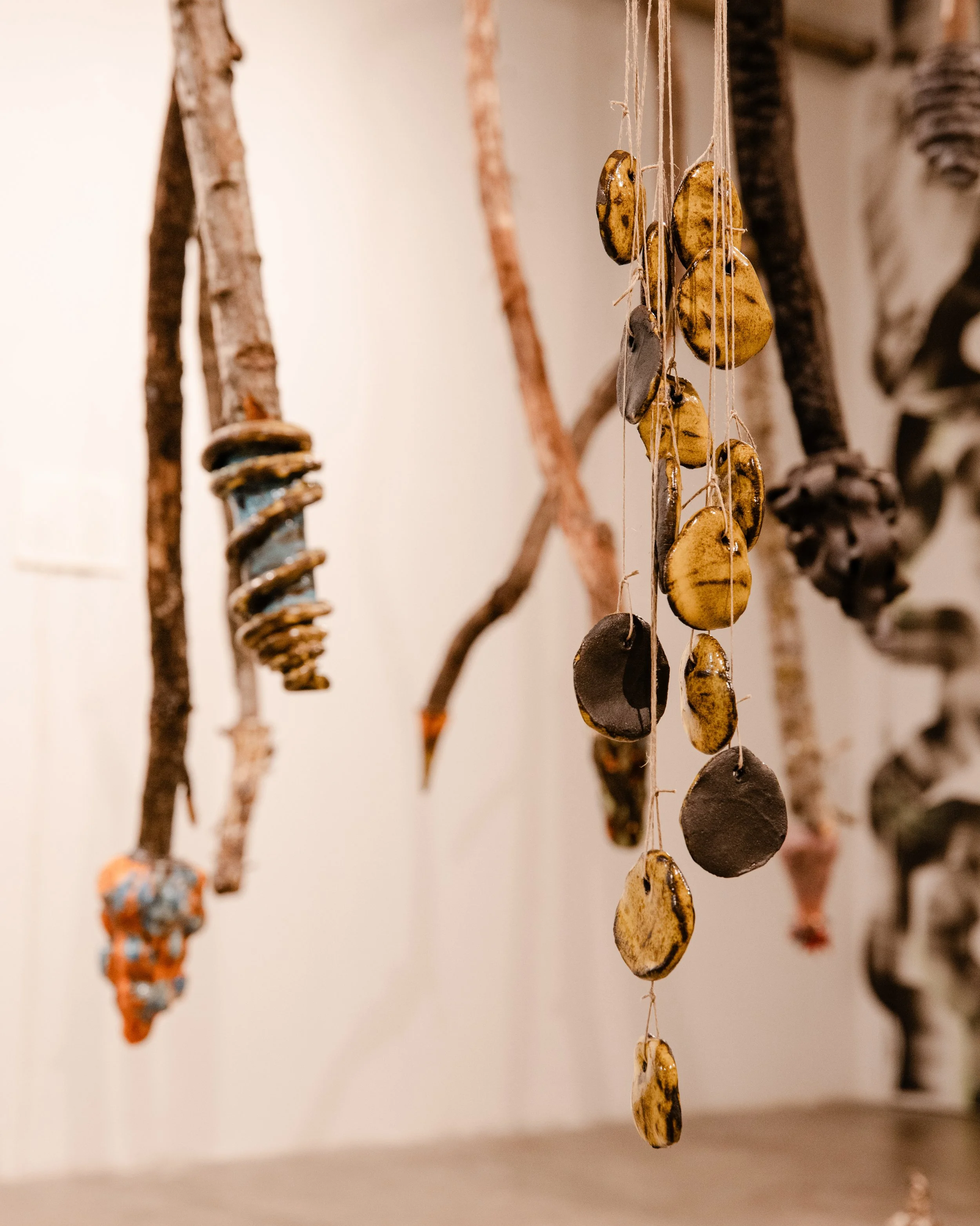 Gramáticas Pardas, CAAA, Guimarães, installation view, photo by FAUSTO