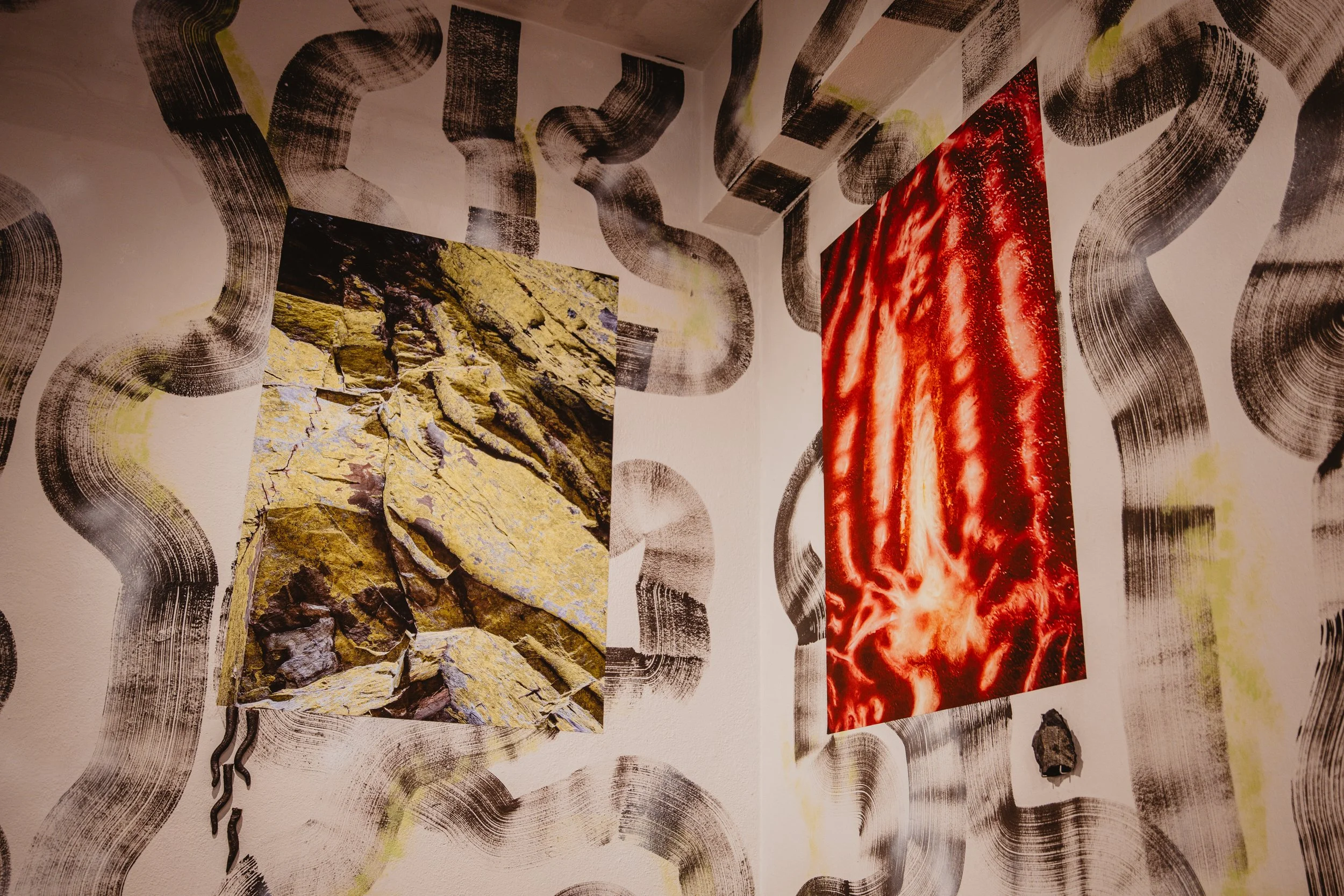 Gramáticas Pardas, CAAA, Guimarães, installation view, photo by FAUSTO