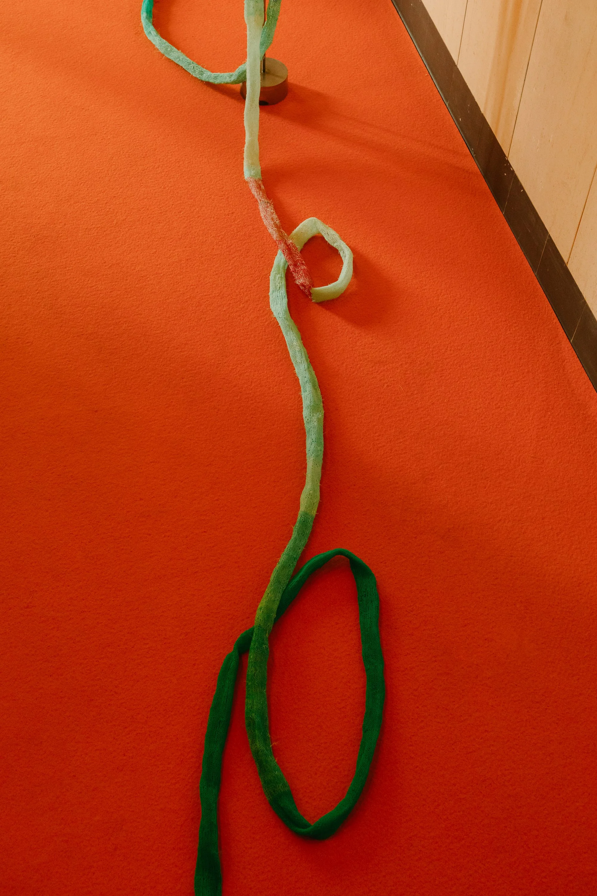 Temporal, installation view, Ocupa Gallery, photo by Dinis Santos