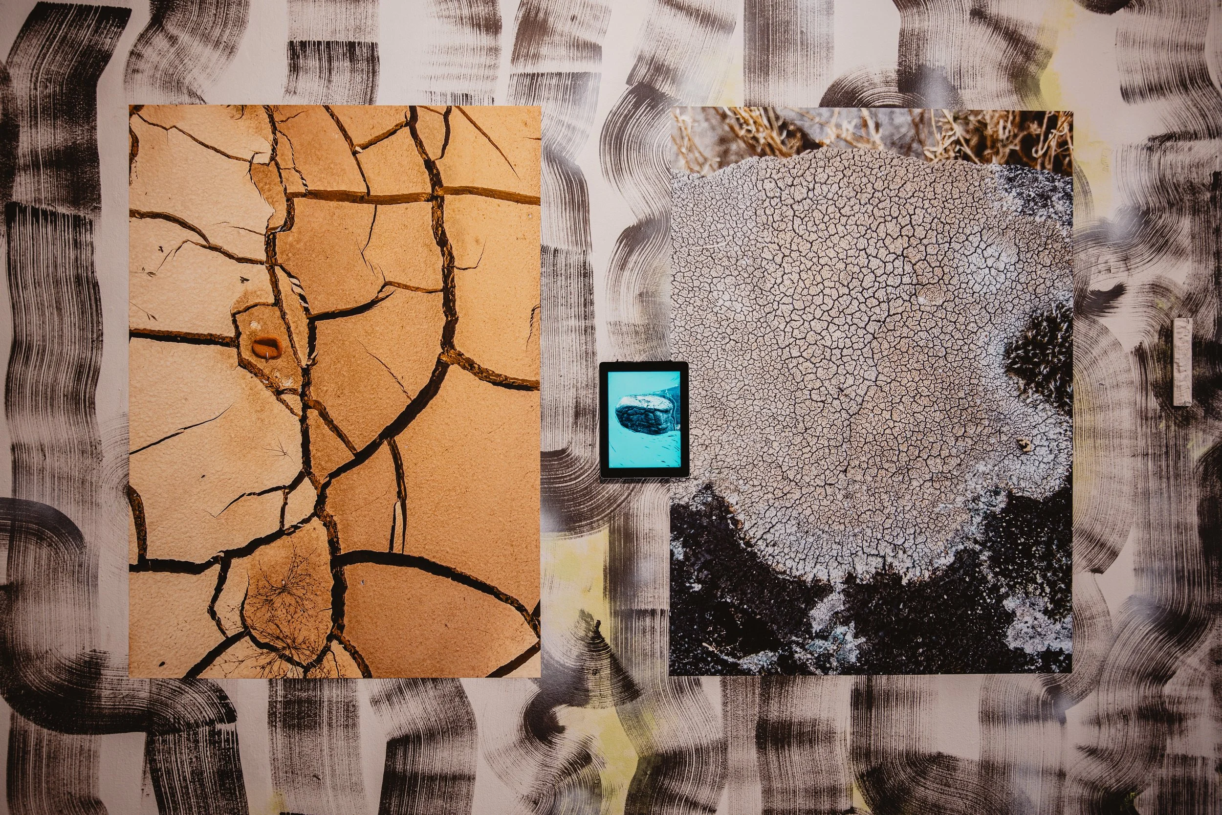 Gramáticas Pardas, CAAA, Guimarães, installation view, photo by FAUSTO