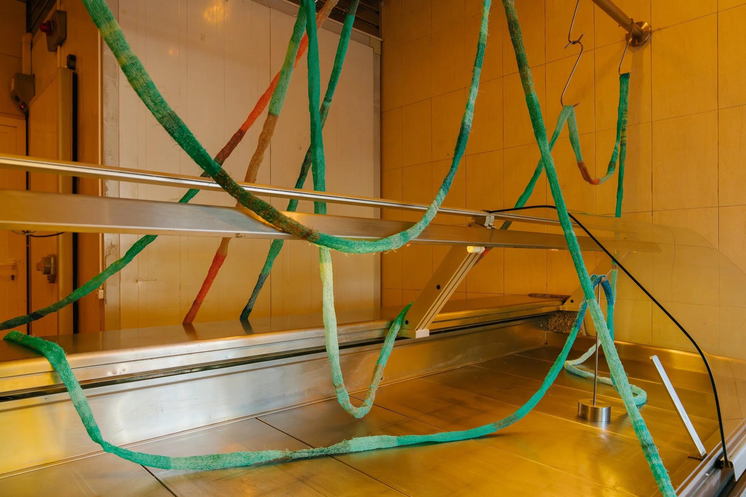 Temporal, installation view, Ocupa Gallery, photo by Dinis Santos