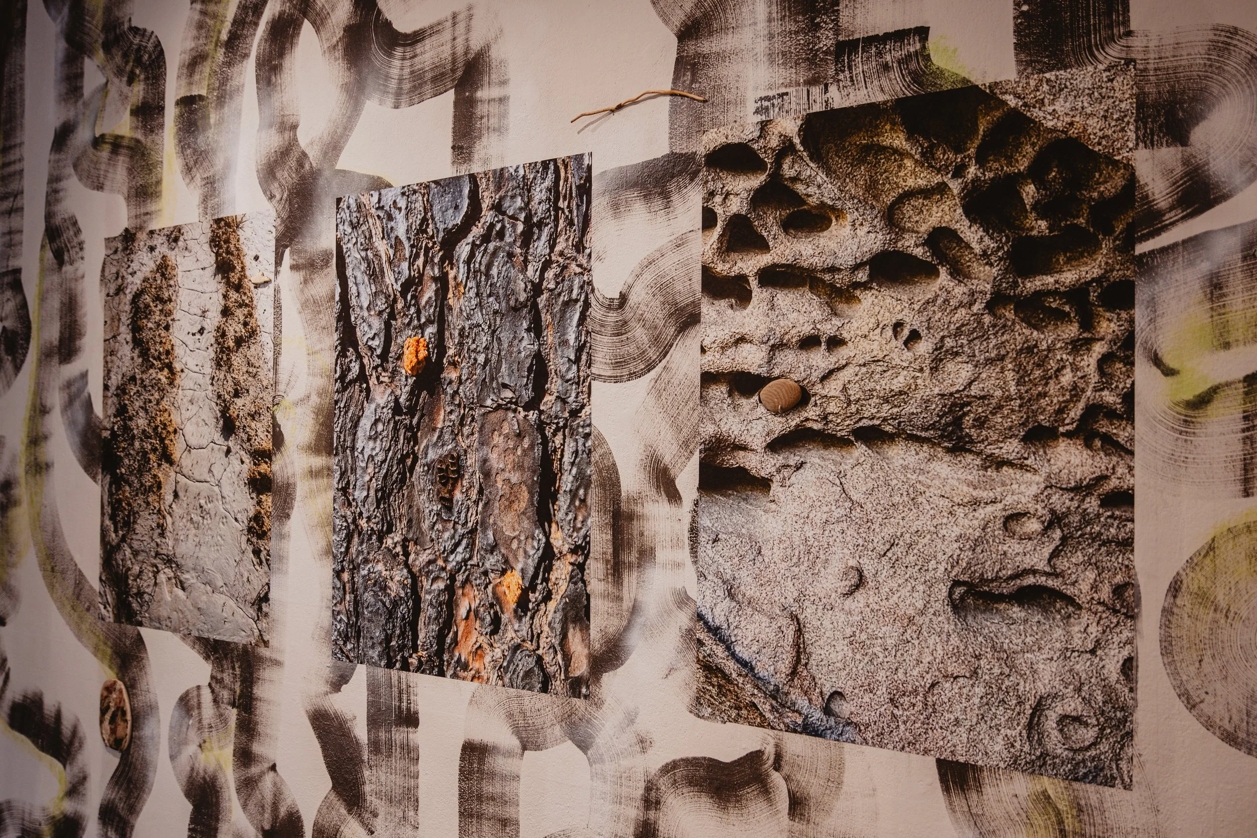 Gramáticas Pardas, CAAA, Guimarães, installation view, photo by FAUSTO