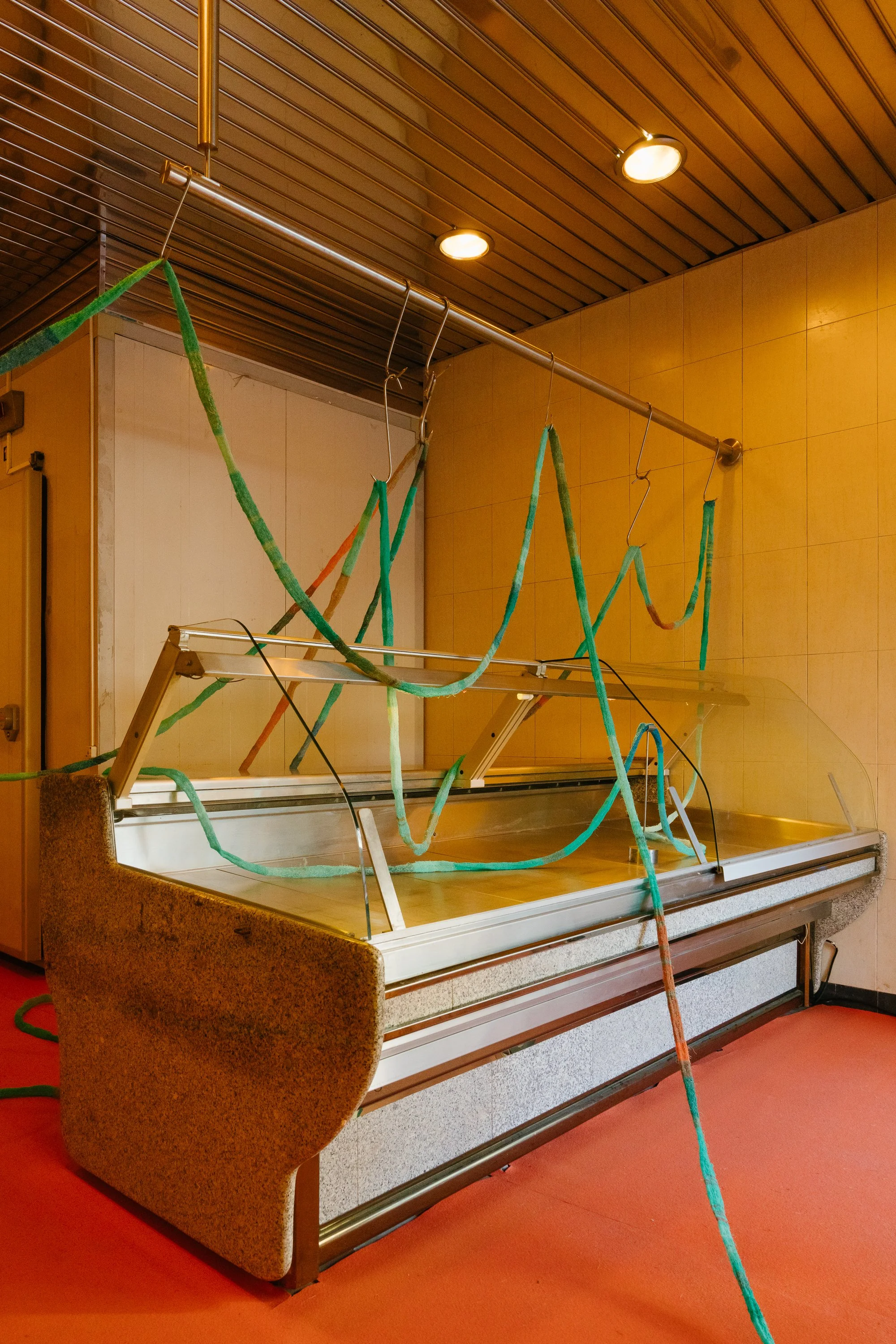 Temporal, installation view, Ocupa Gallery, photo by Dinis Santos