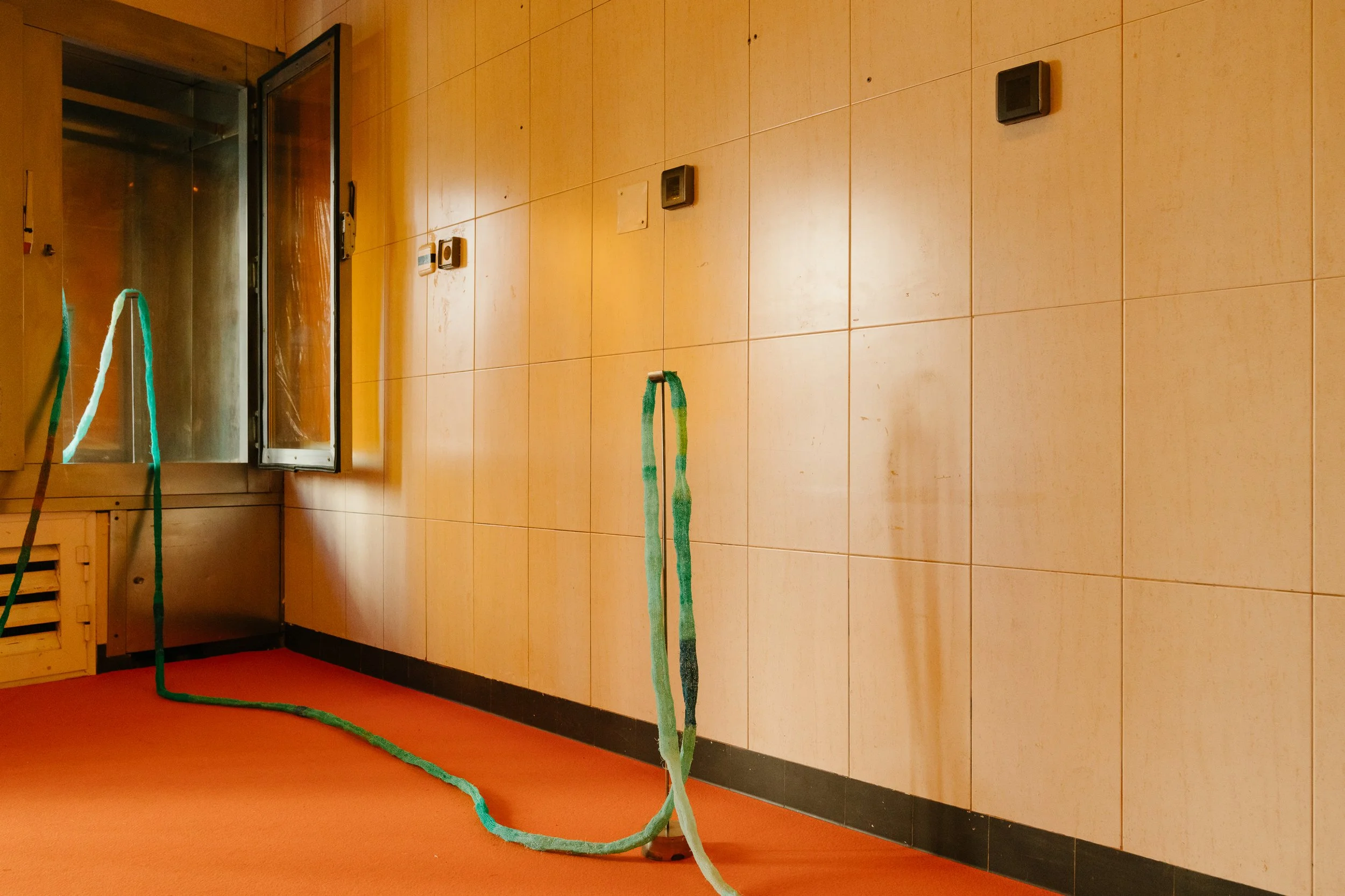 Temporal, installation view, Ocupa Gallery, photo by Dinis Santos