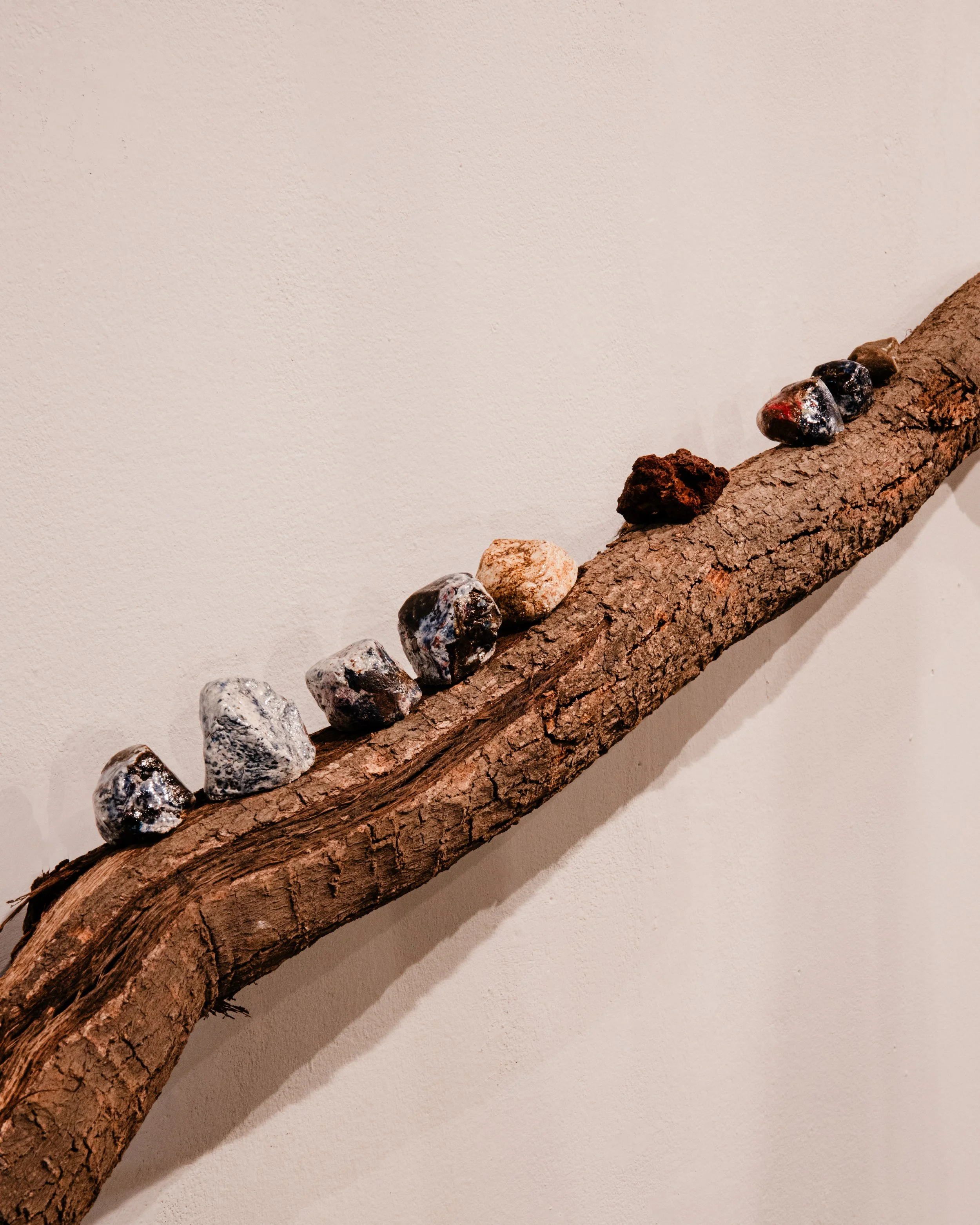 Gramáticas Pardas, CAAA, Guimarães, installation view, photo by FAUSTO