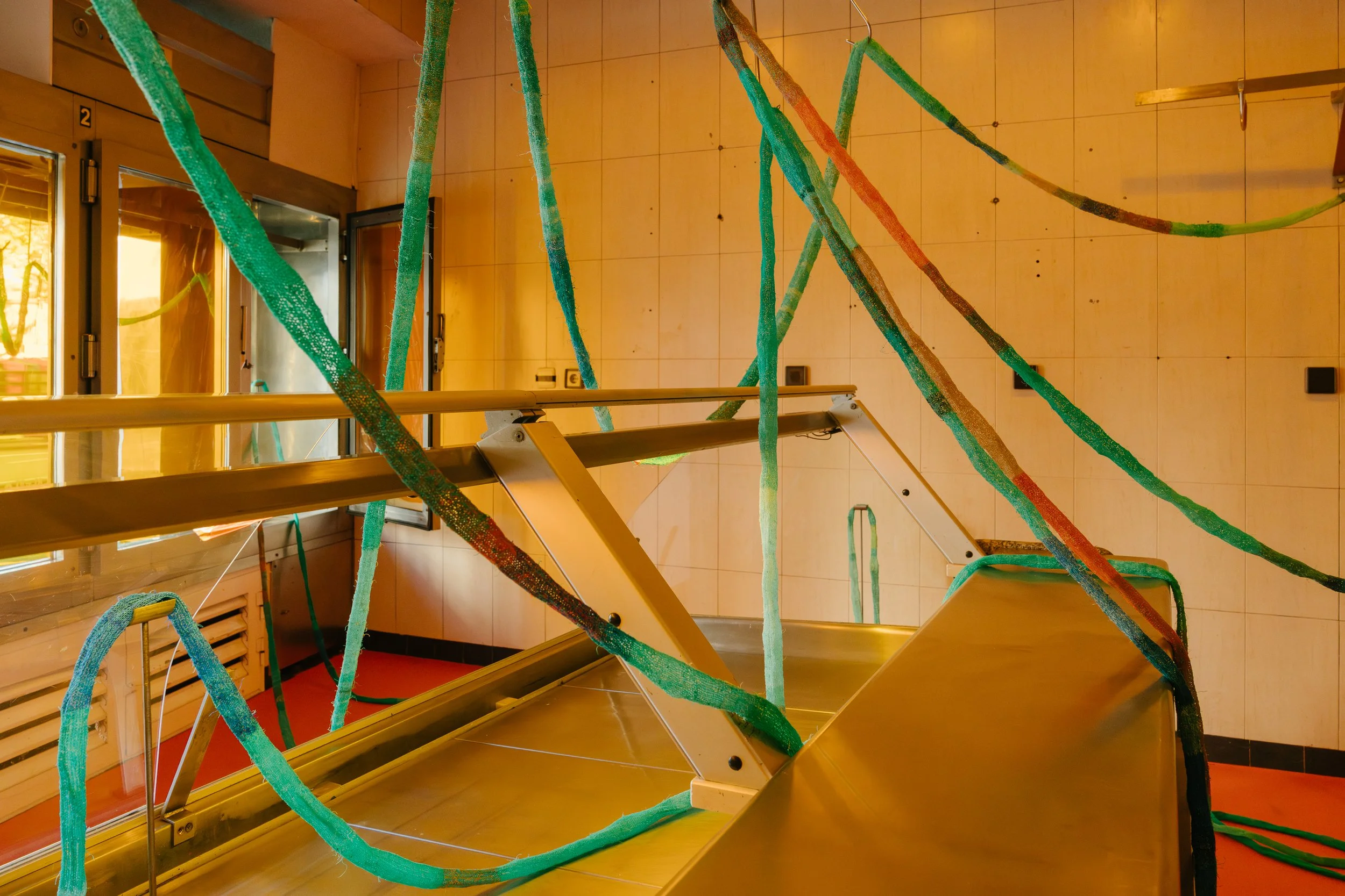 Temporal, installation view, Ocupa Gallery, photo by Dinis Santos