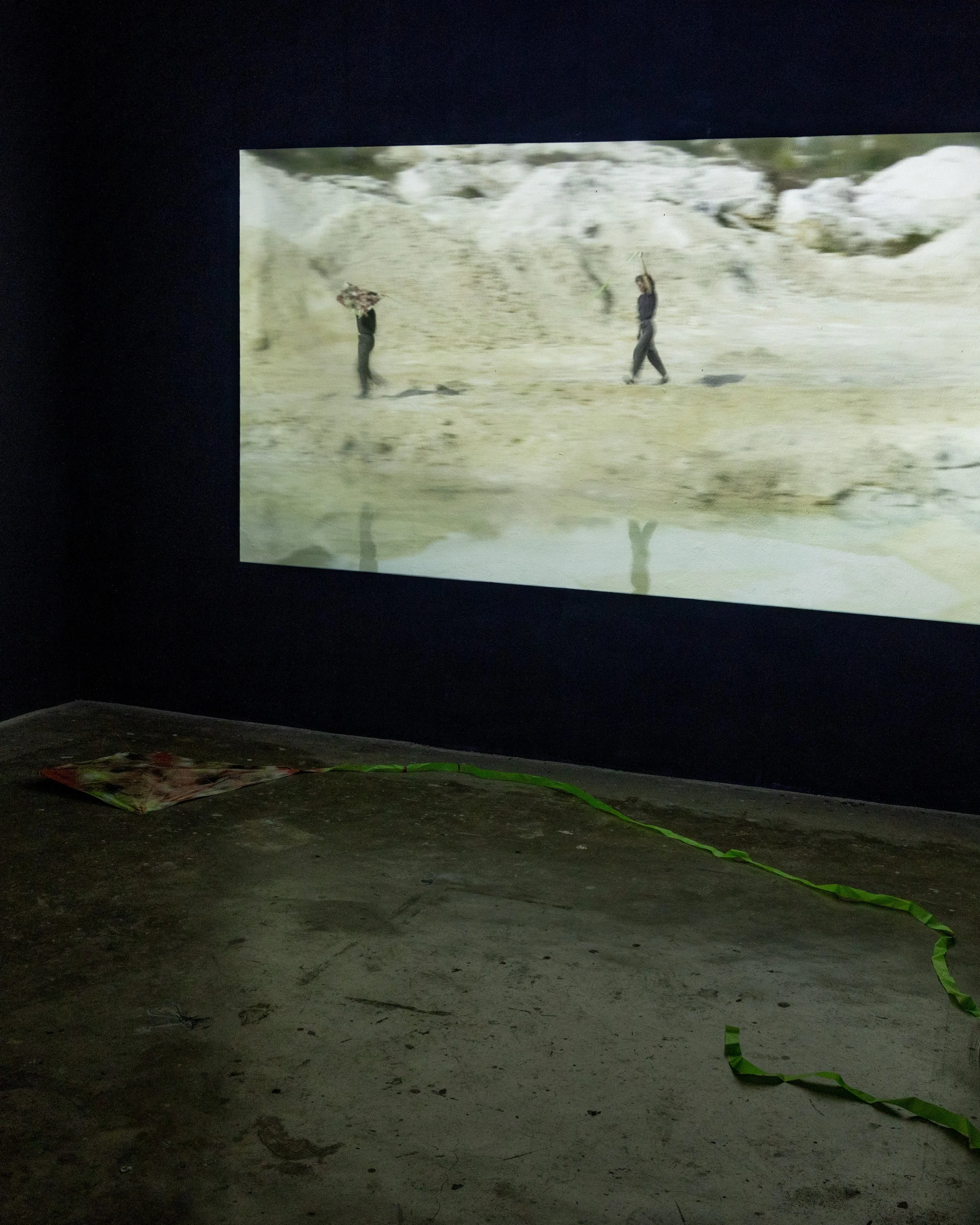Gramáticas Pardas, CAAA, Guimarães, installation view, photo by FAUSTO