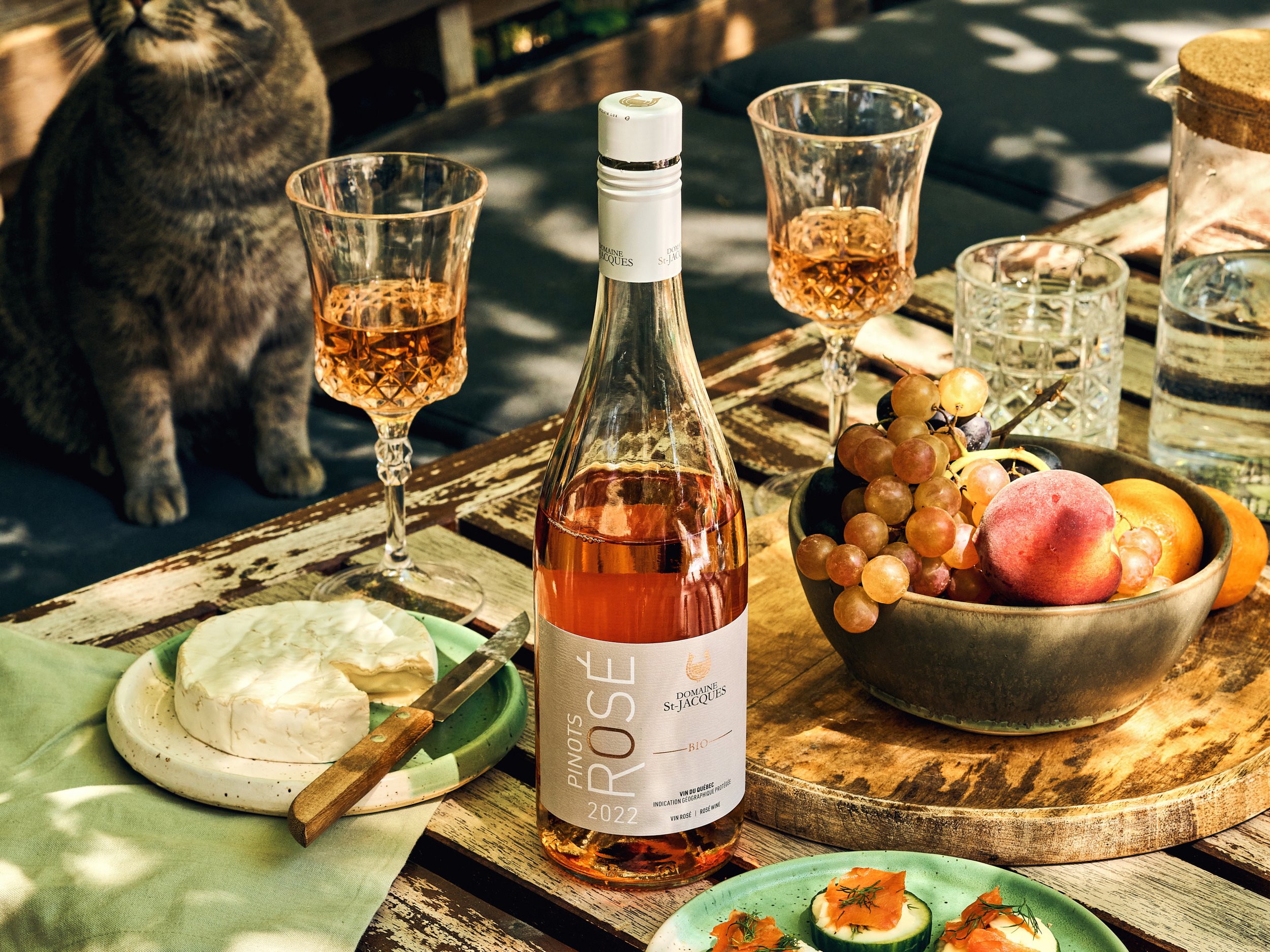 230525_Cossette_SAQ-Domaine-StJacques-PinotRose_HOR-WEB.jpg