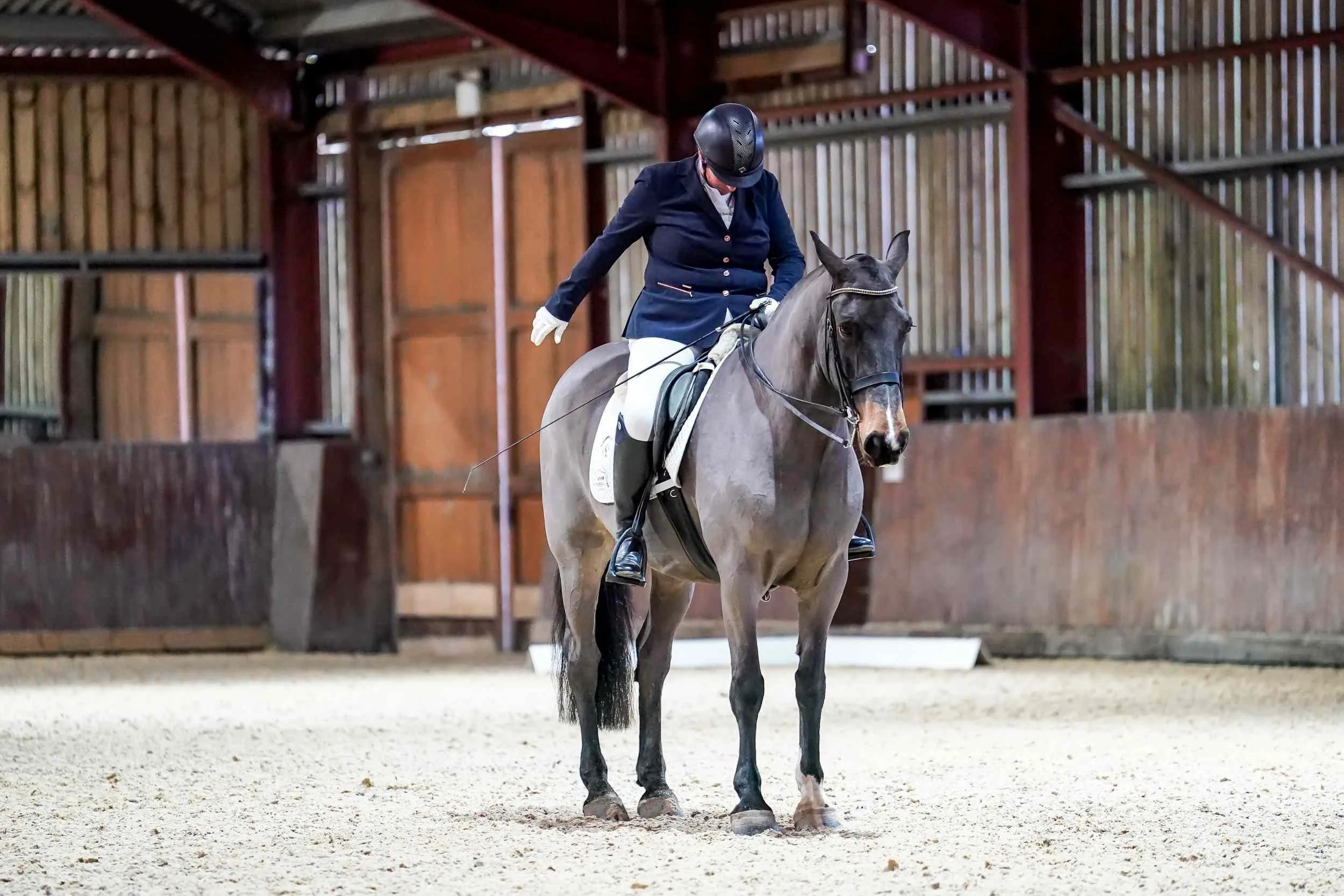 Events | West End Riding Club