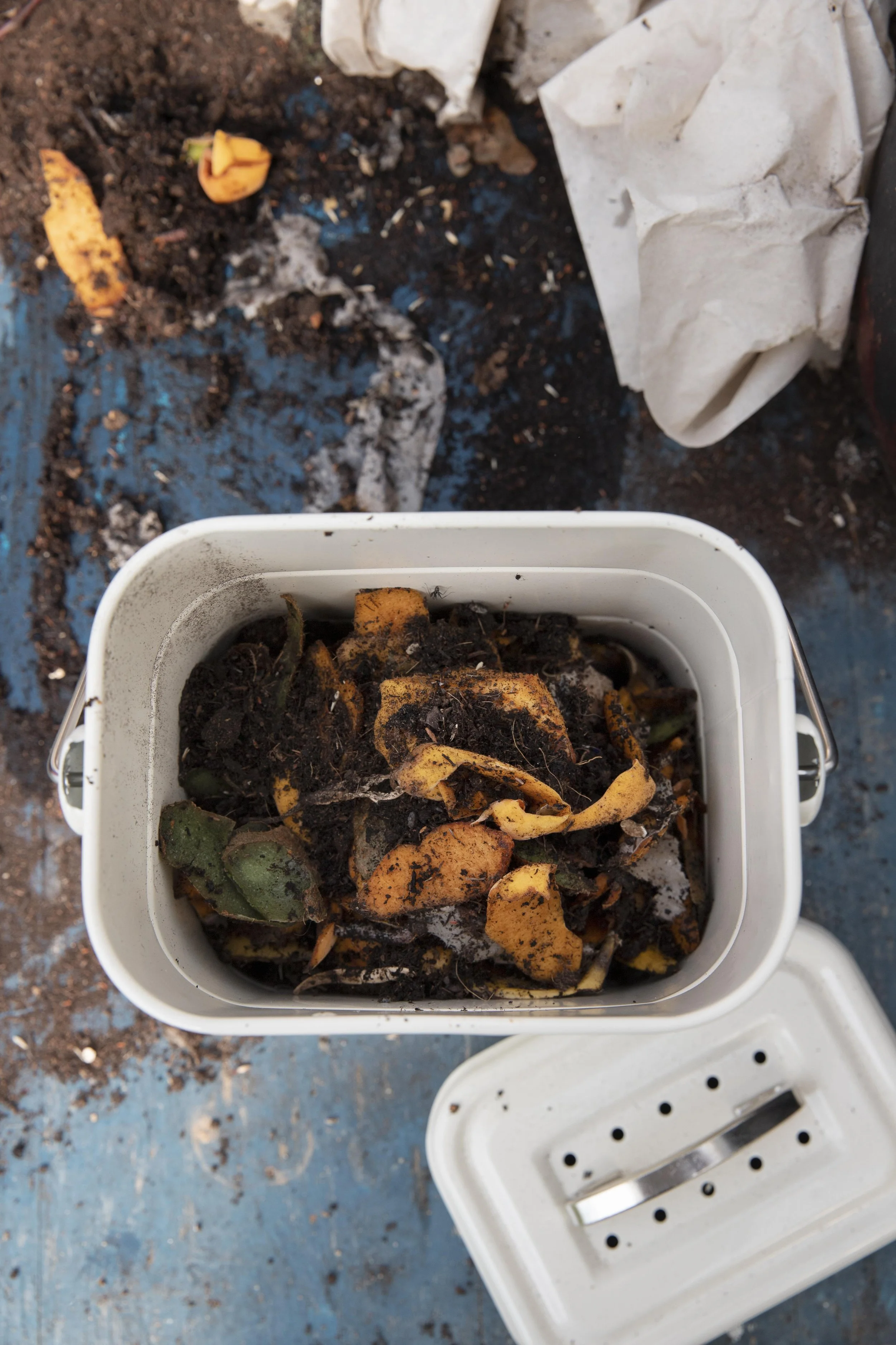 A white compost bin filled with rotting food scraps, including vegetable peelings and soil, sitting on a dirty blue surface with scattered dirt and trash around.