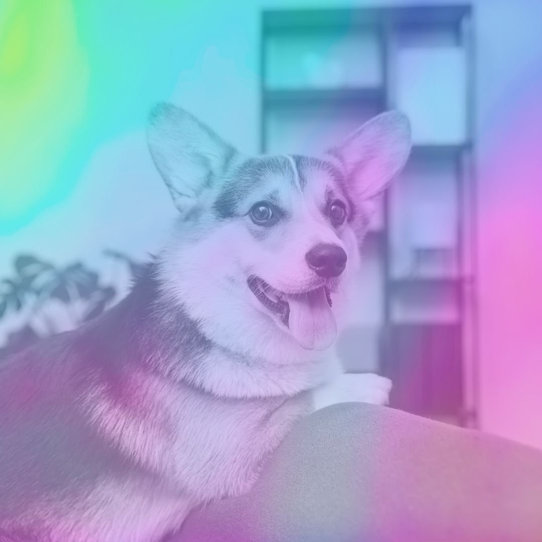 Do’s and Don’ts of Dog Grooming Logo Design