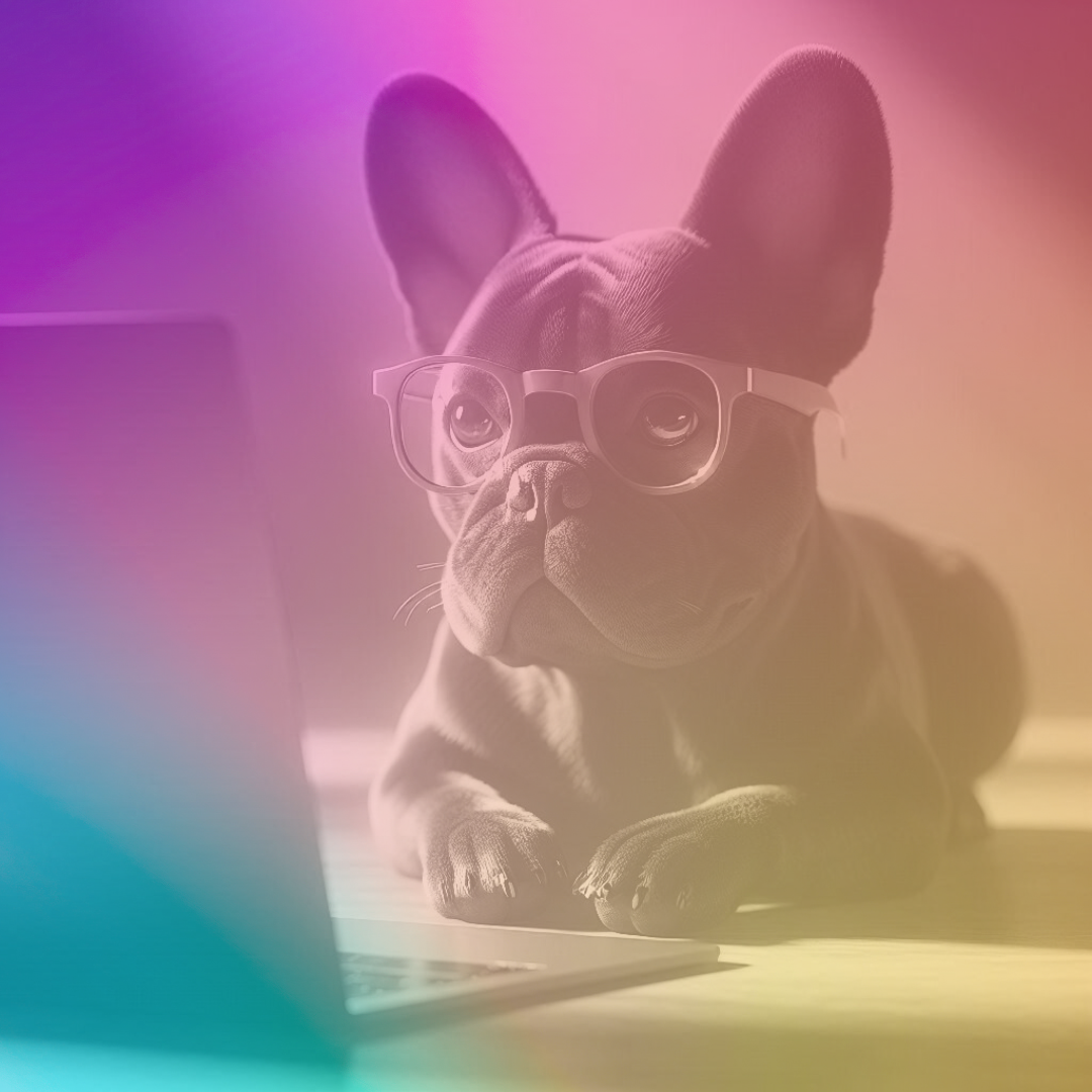 Custom Website Design for Pet Businesses