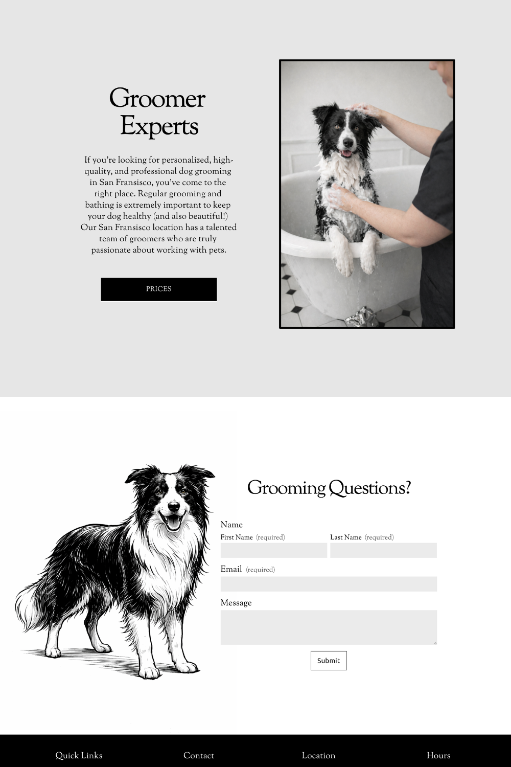 dog salon website design by Pixels Unleashed
