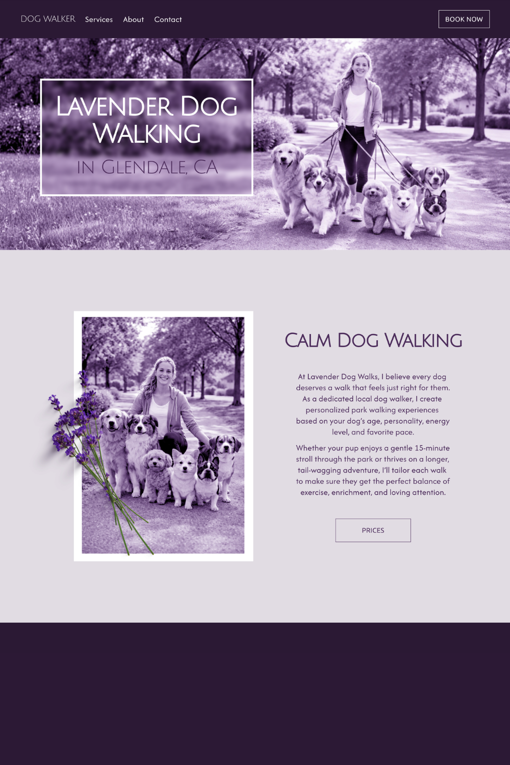 dog walker website design by Pixels Unleashed