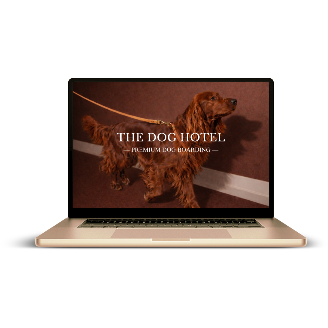 dog boarding website design by Pixels Unleashed displayed on laptop