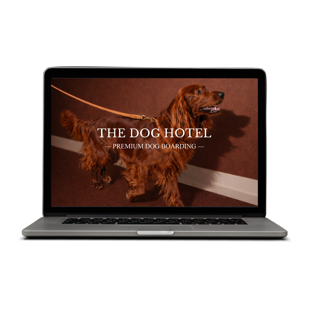 dog boarding website design displayed on laptop screen