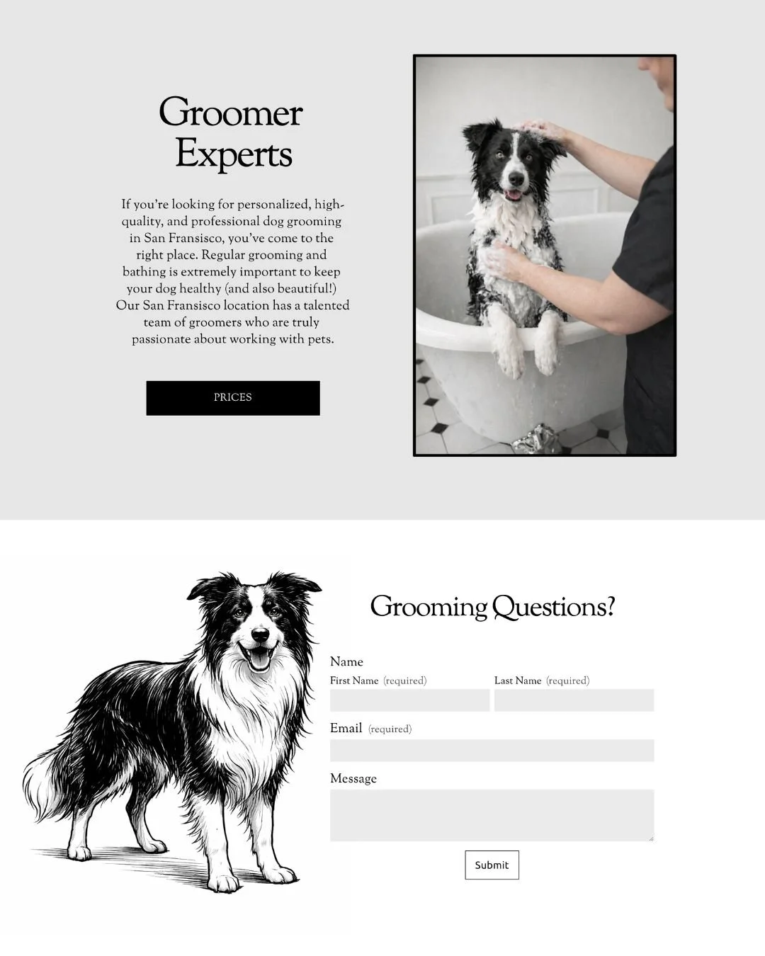 dog groom experts and contact sections of dog salon website designed by Pixels Unleashed