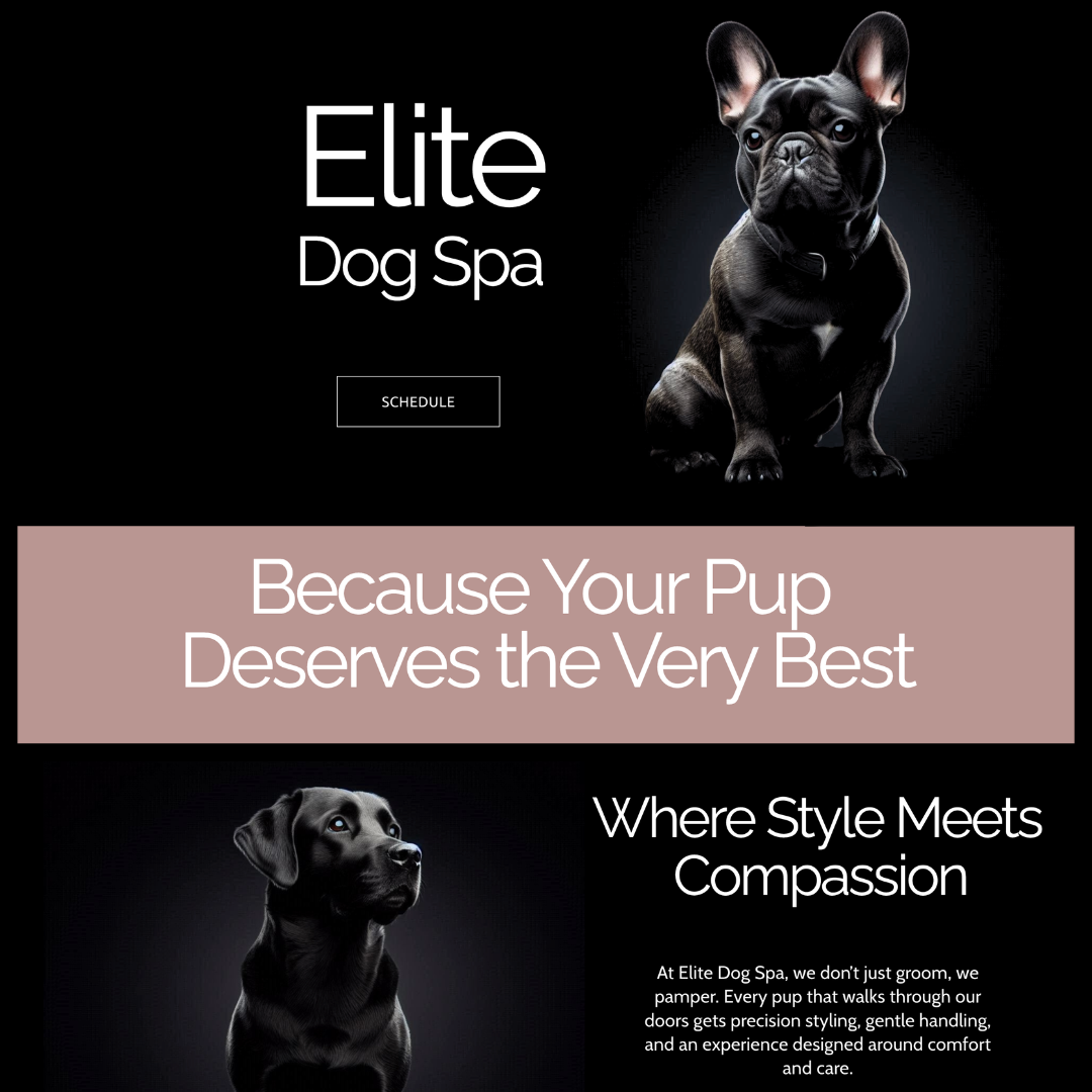 pet care business website design