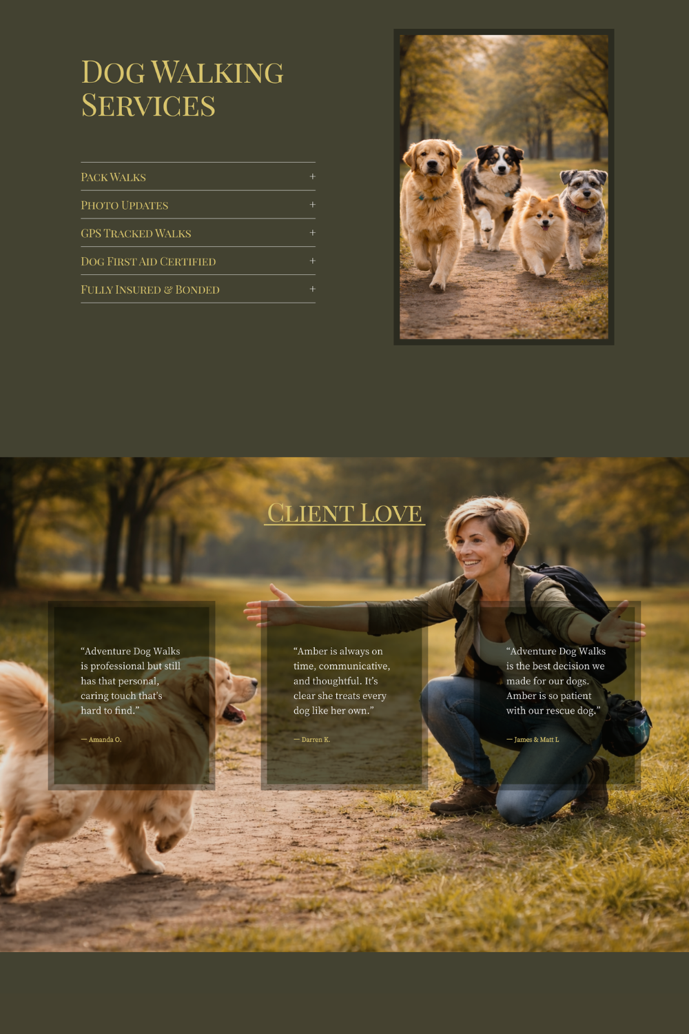 dog walker website design by Pixels Unleashed