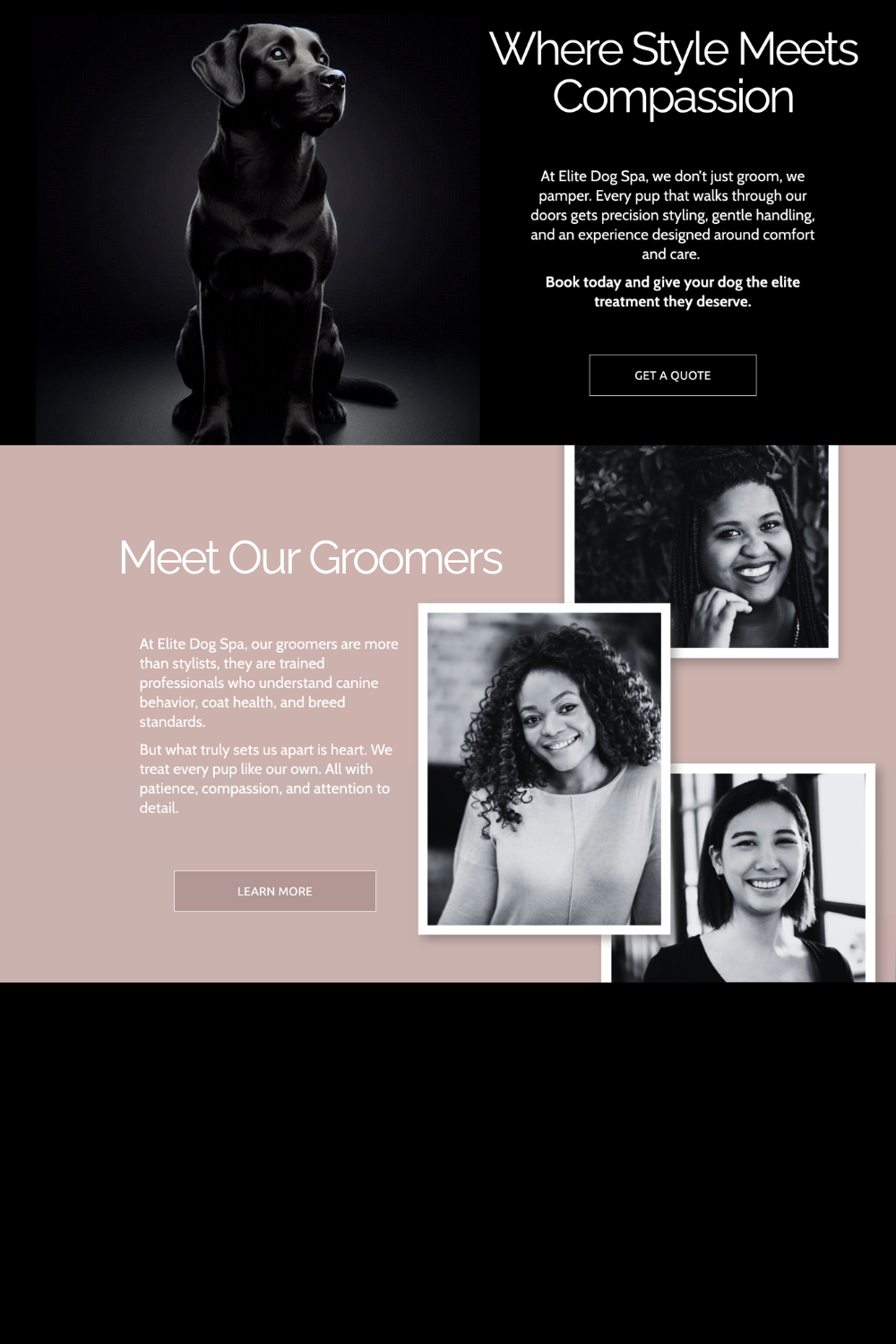 dog salon website design by Pixels Unleashed