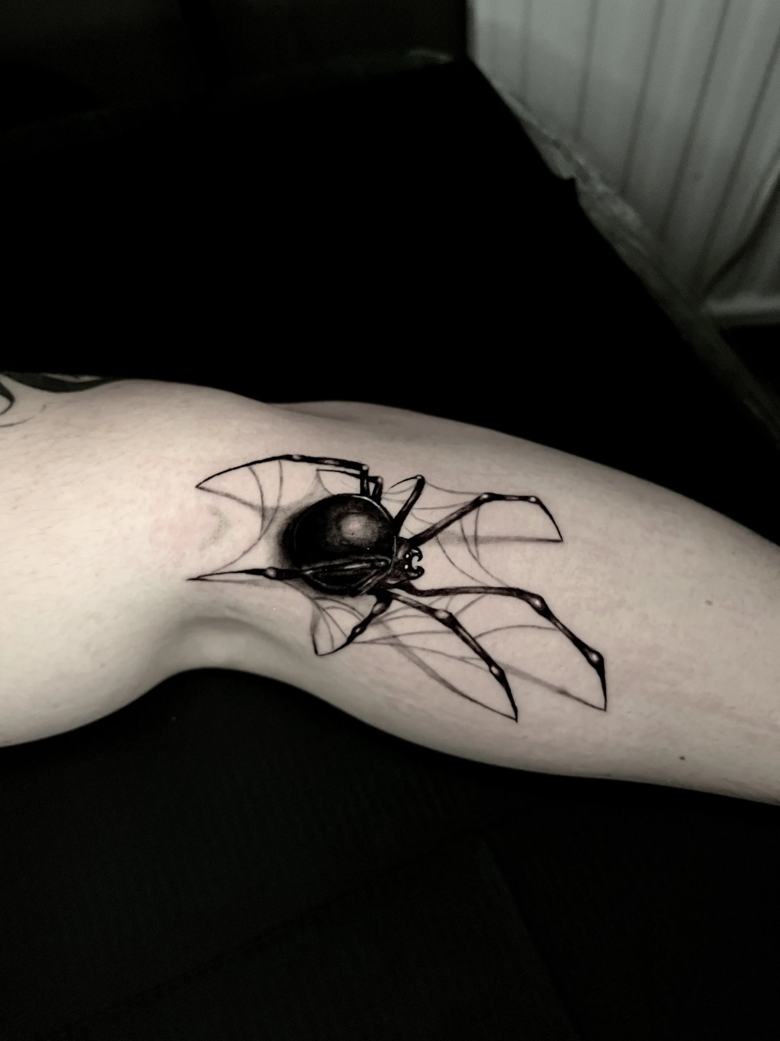 Realistische schwarze Spinne als detailliertes Black-and-Grey-Tattoo auf dem Unterarm.