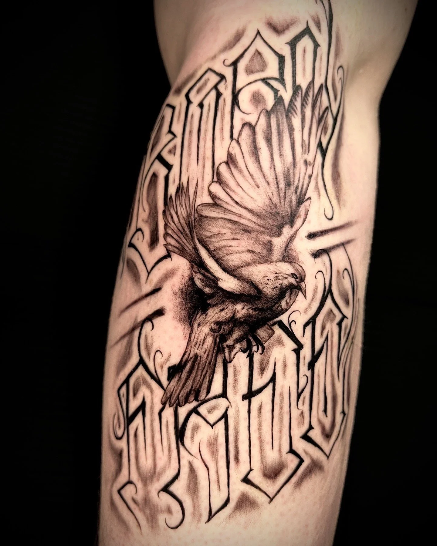 Realistic-Tattoo einer fliegenden Taube in Kombination mit dem frei aufgezeichneten Lettering ‚Born Free‘, gestochen im Black-and-Grey-Stil.