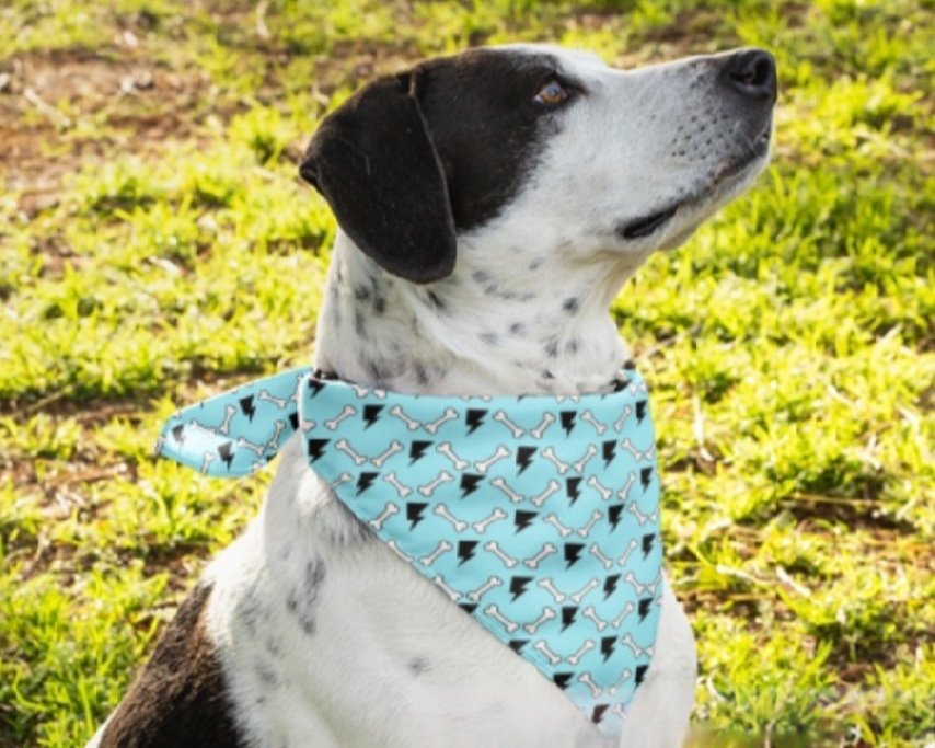 Bandana.jpg