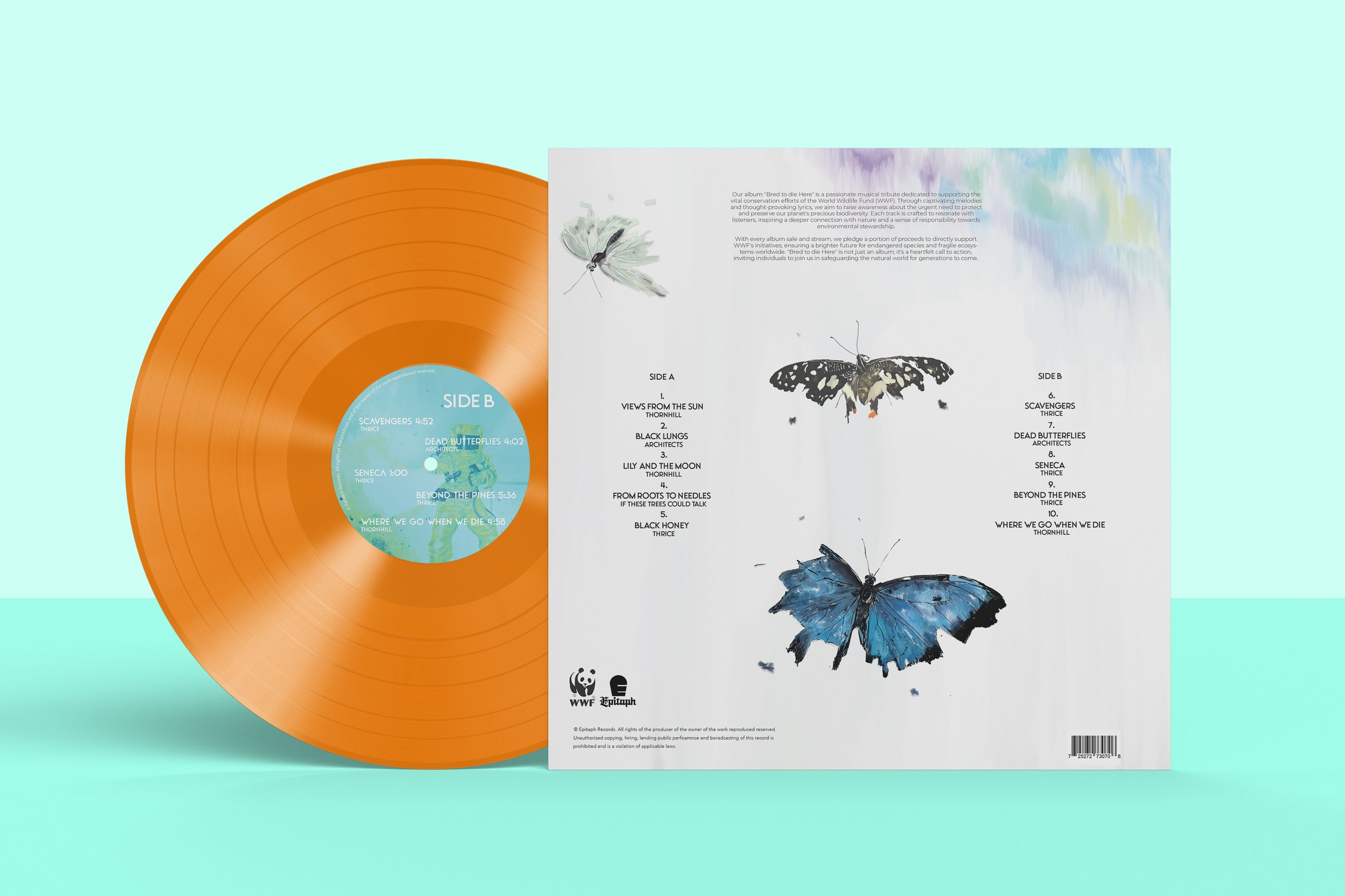 AlbumBackMockup.jpg