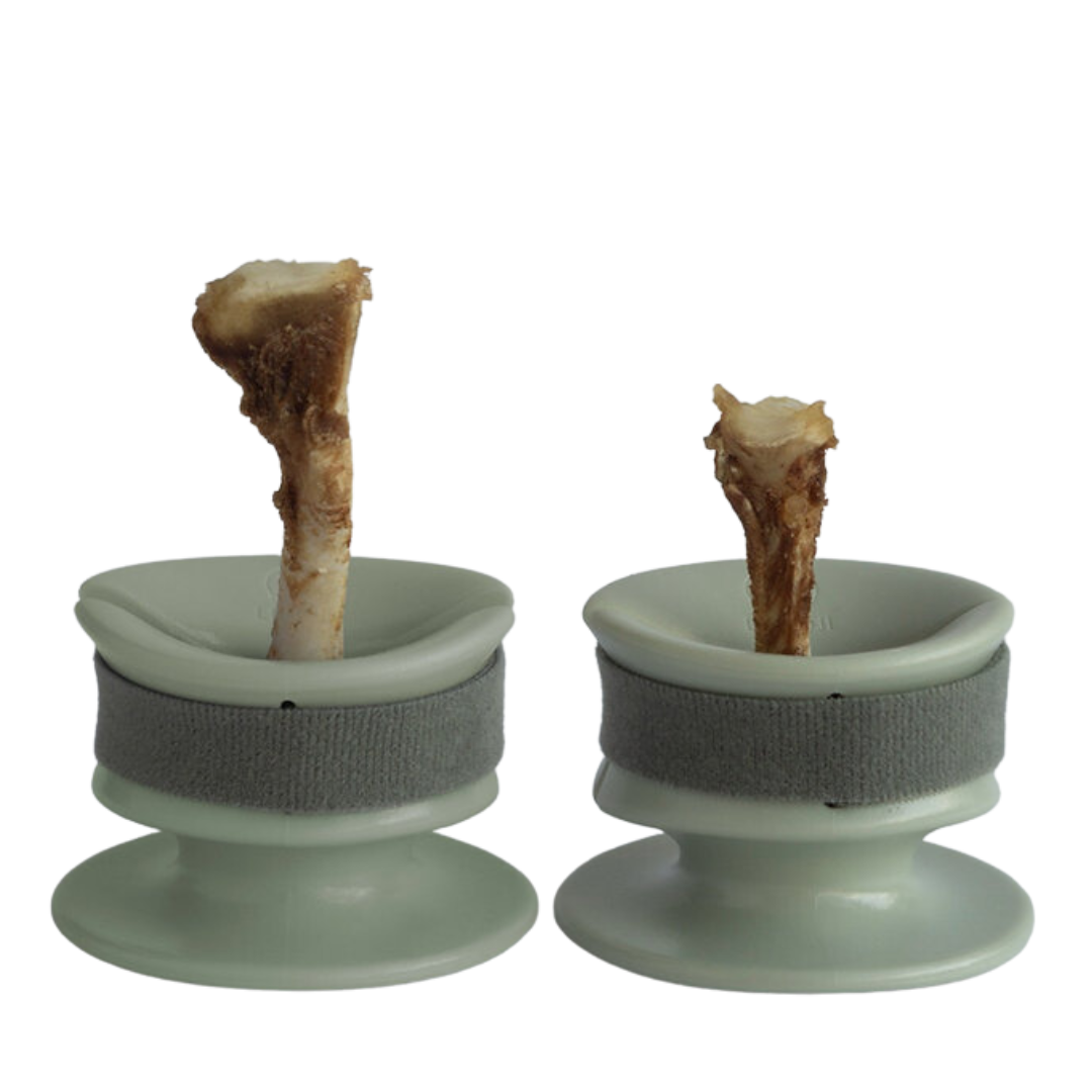 durable bully stick holder