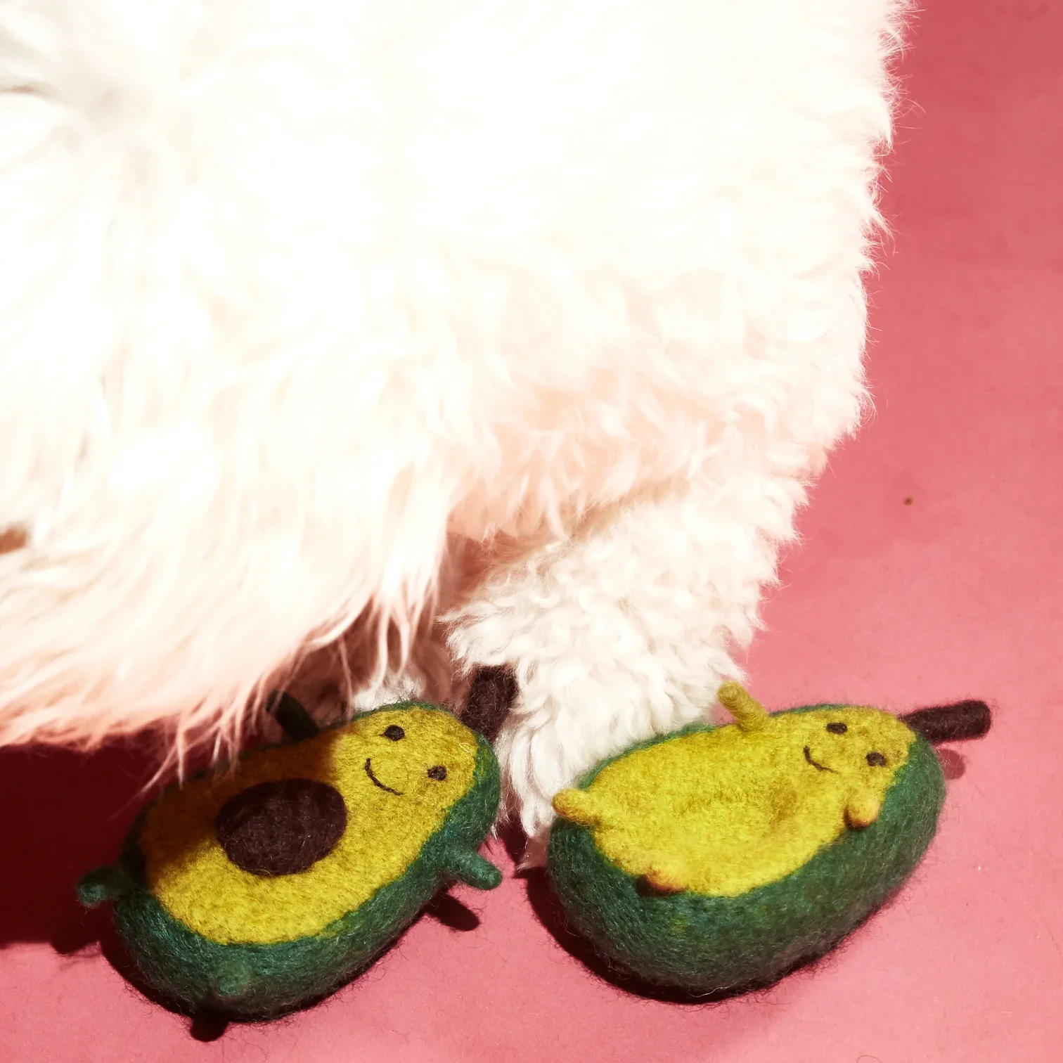 Dog-Playing-with-Avocado-Dog-Toy_1512x.jpg.webp