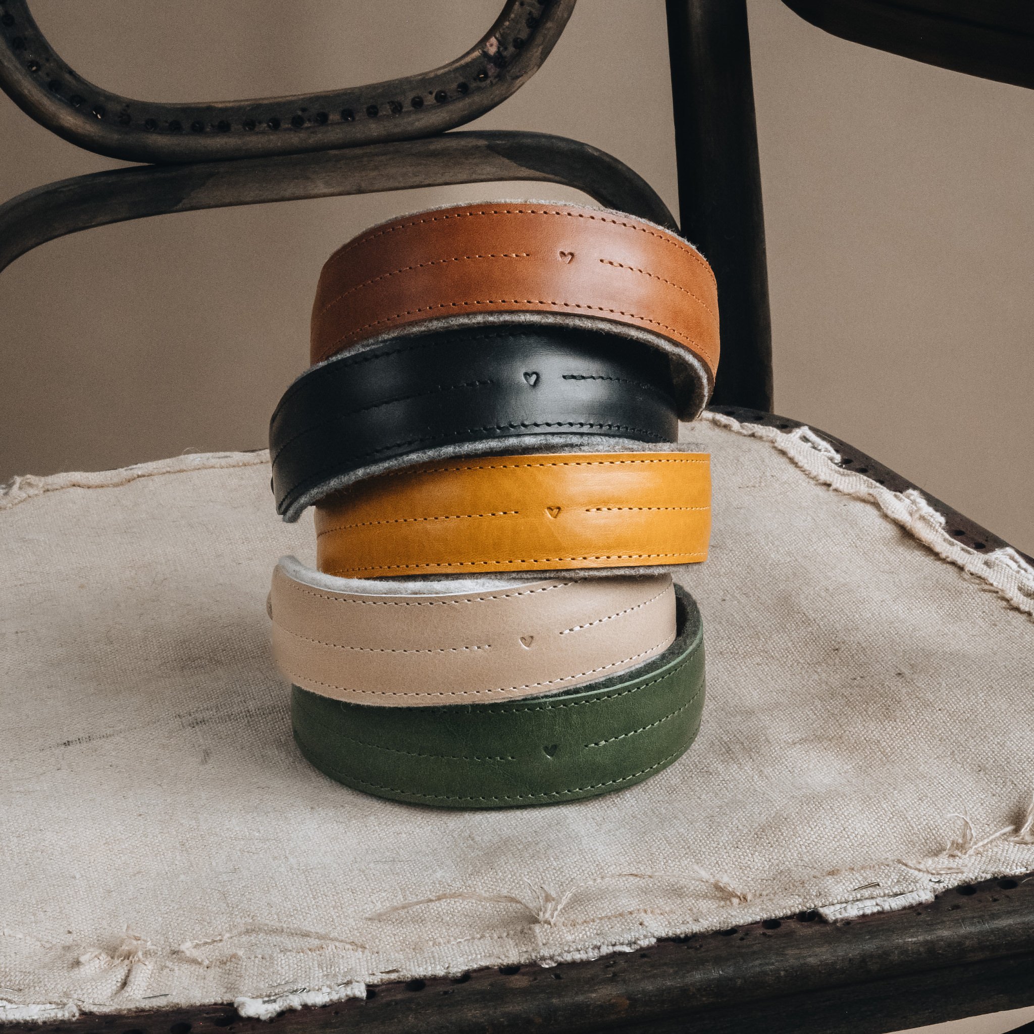 padded leather dog collar