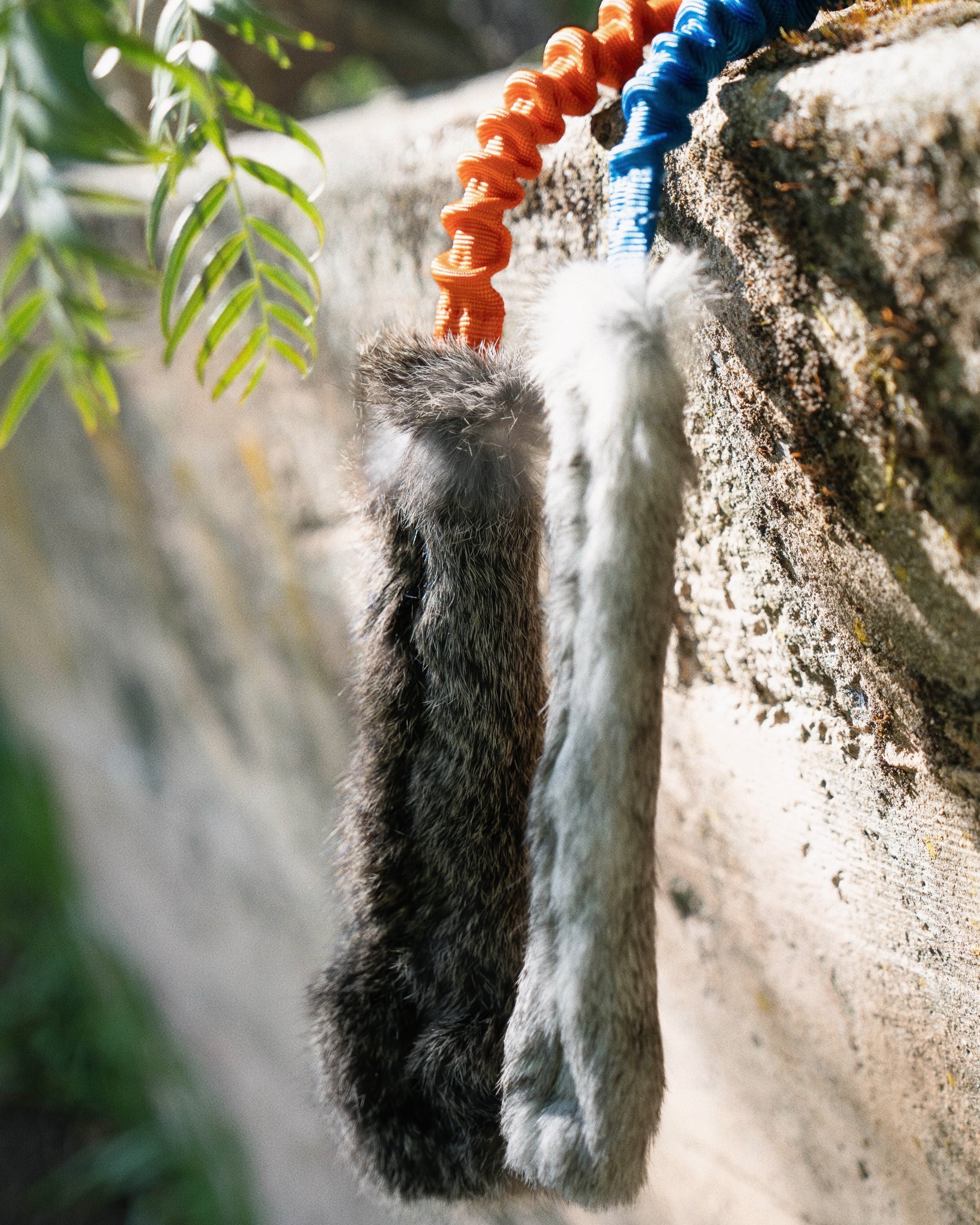 AGILITOY · Rabbitly Bungee Tug Toy