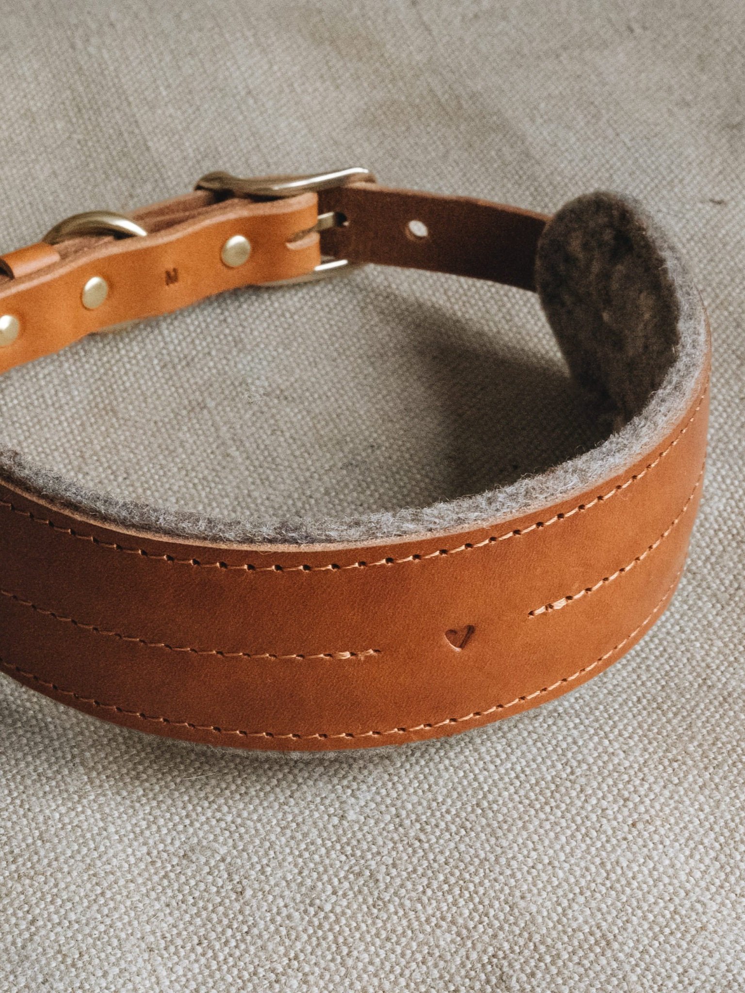 extra wide dog collar