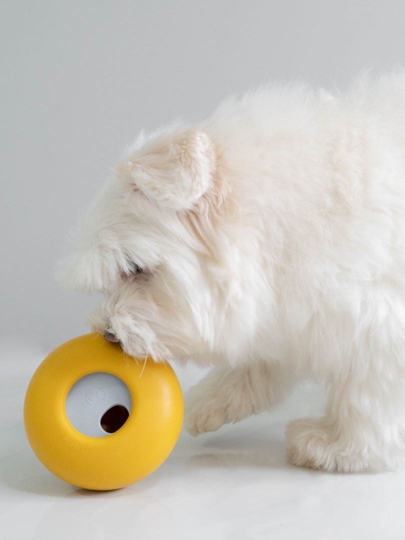 small dog treat dispenser