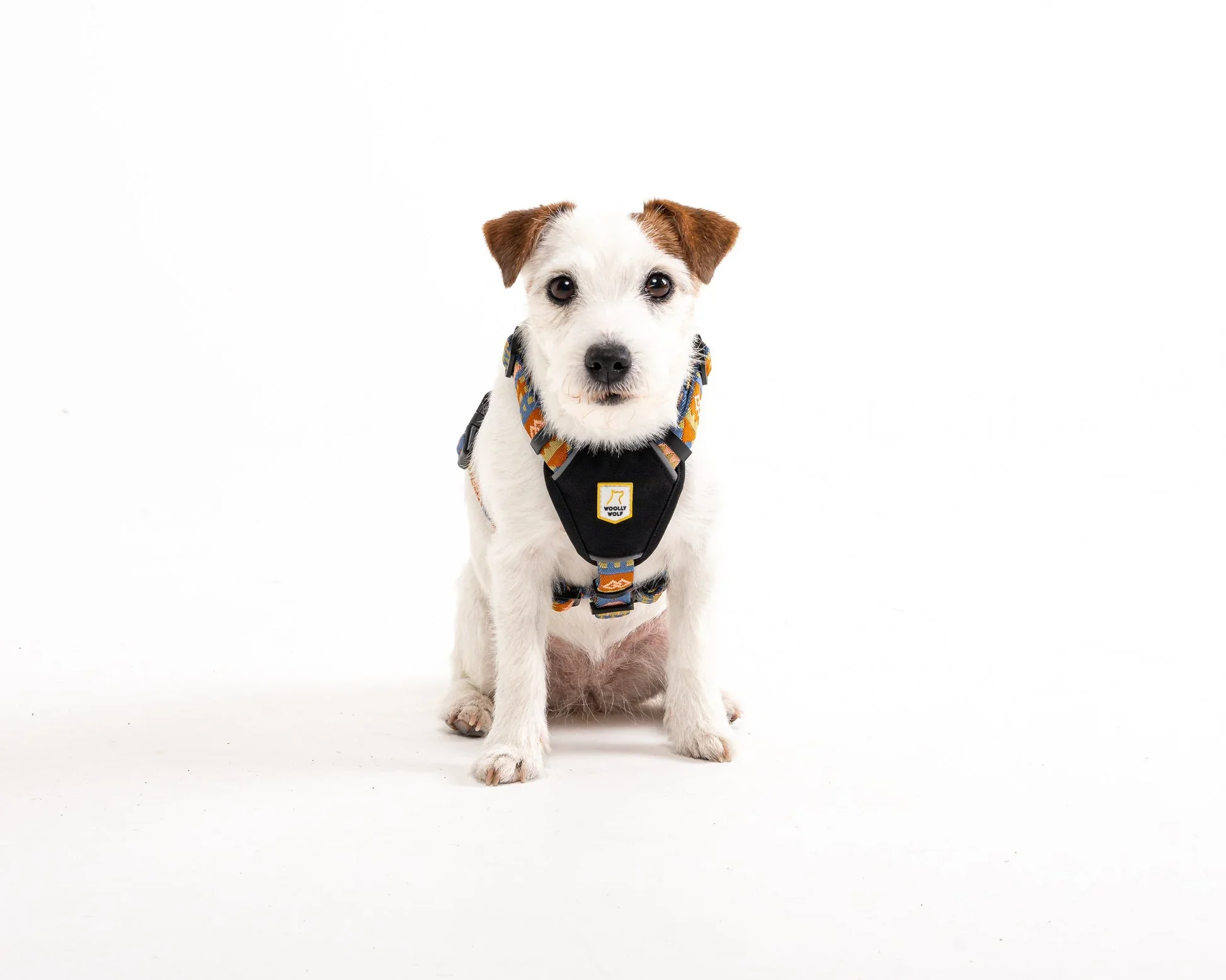 nightless-night-harness-xxs-123929.jpg.webp