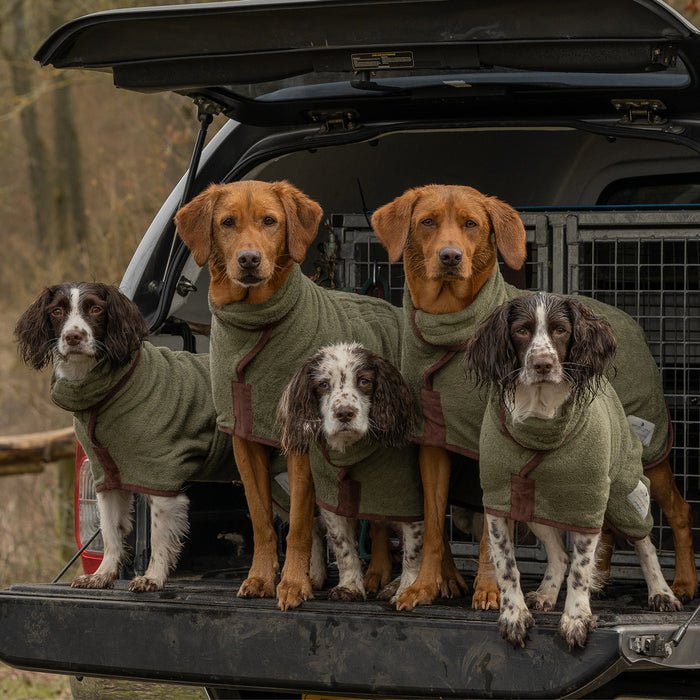 Group of retrievers and spaniels in olive green dog drying coats, standing in the back of a car. Perfect after-bath drying coat for preventing wet dog smells and messes.