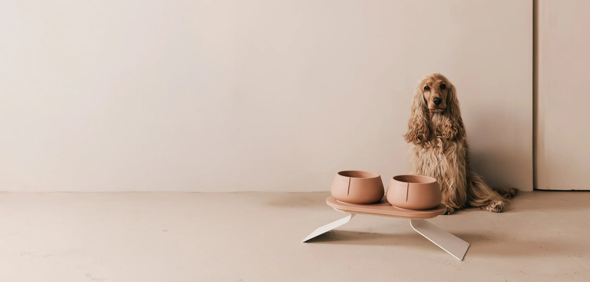 pino dog bowl