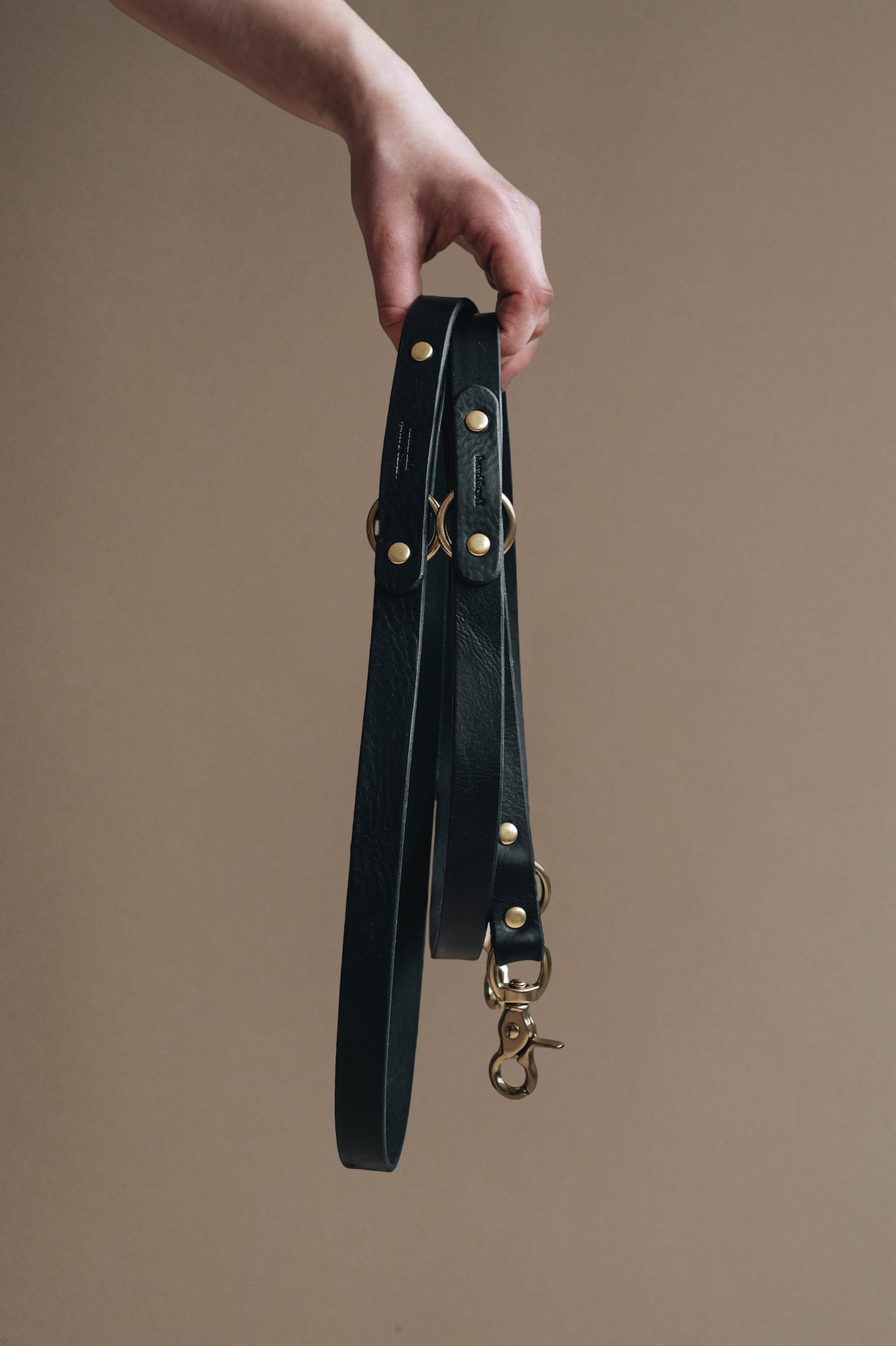 black leather dog leash