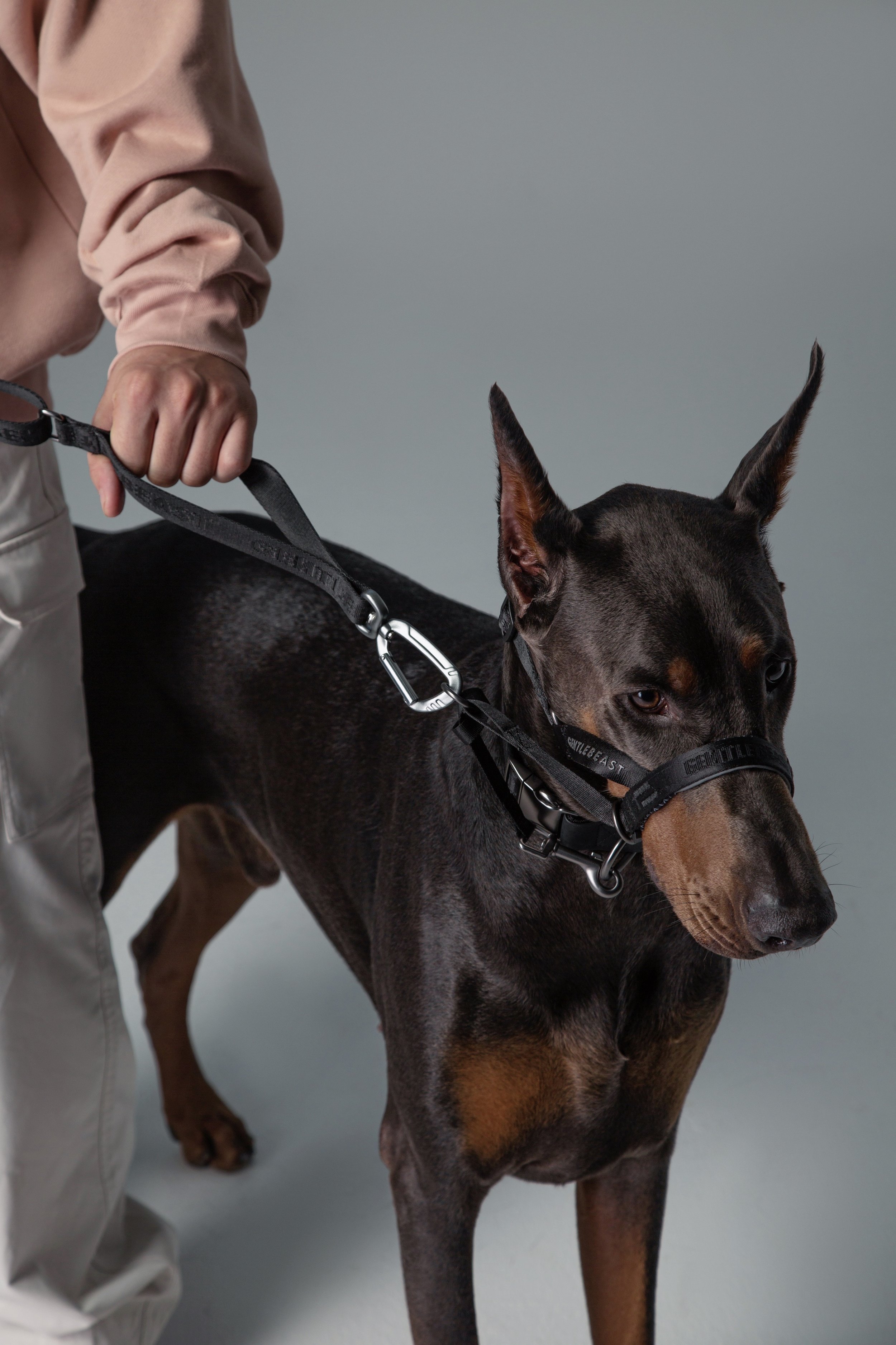 Head collar for strong puller